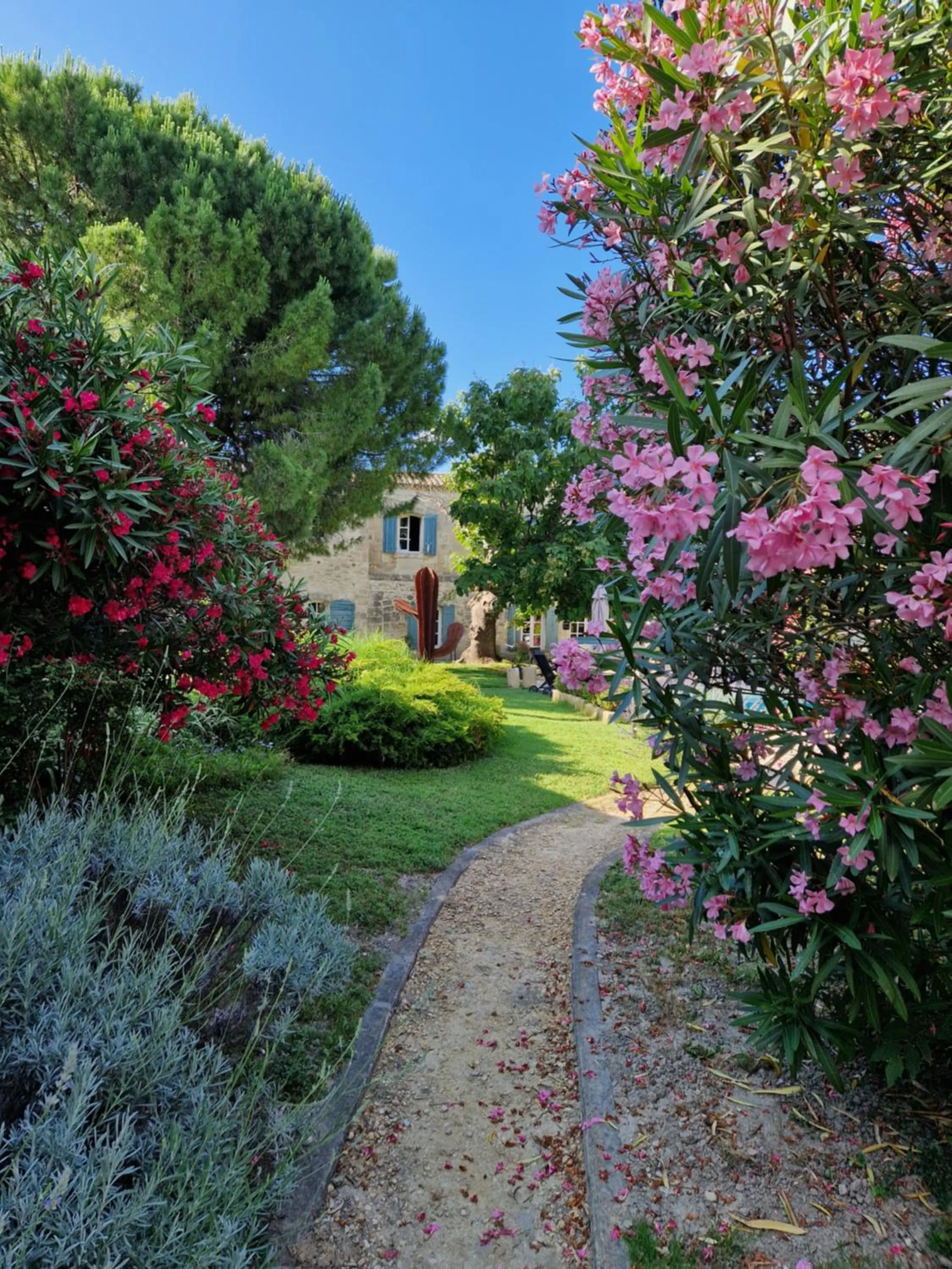 Garden in Mas Armelin