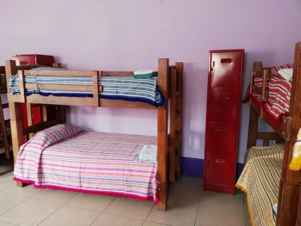 bunk bed, Bed in Olga Querida B&B Hostal
