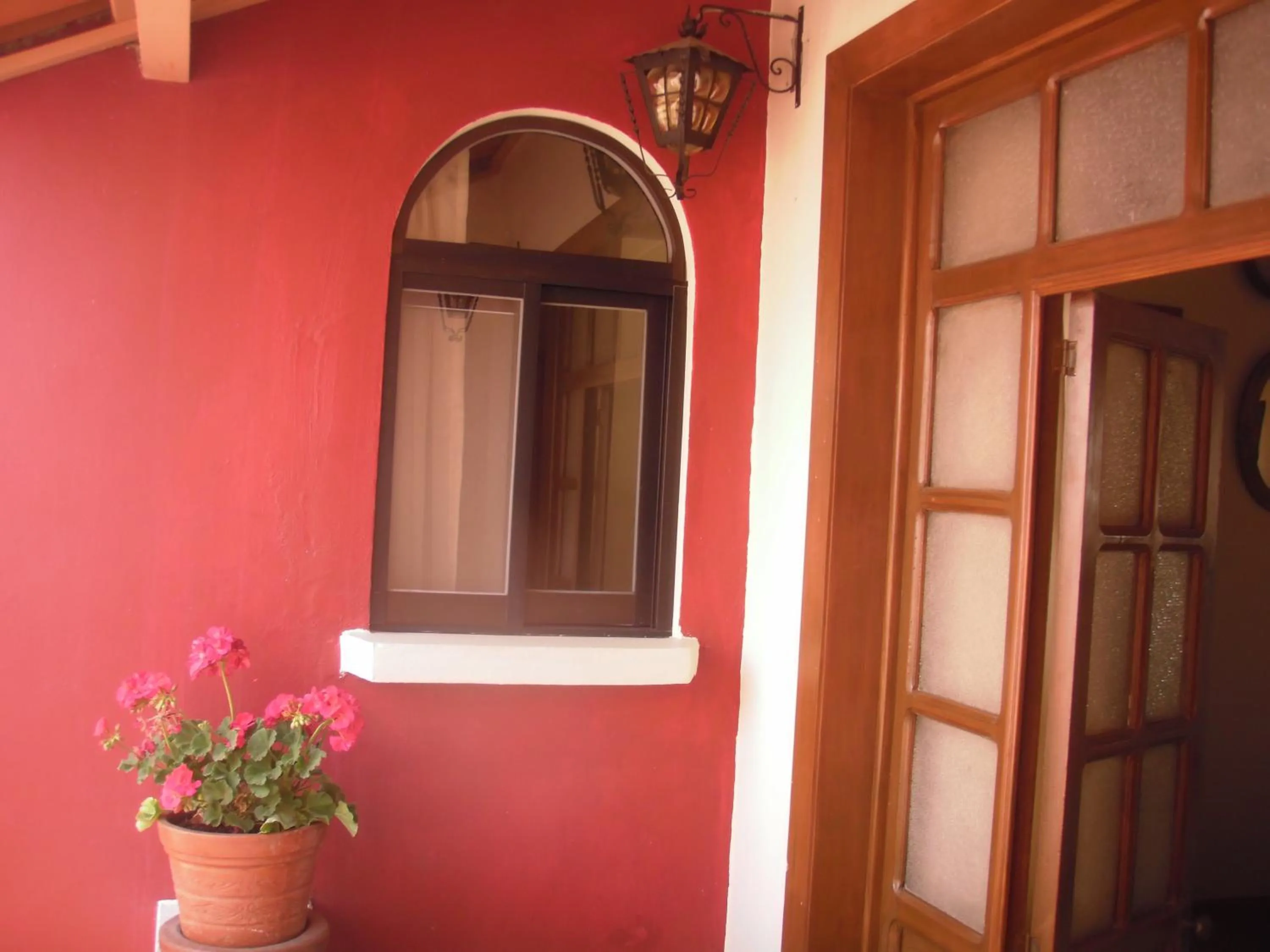 Olga Querida B&B Hostal