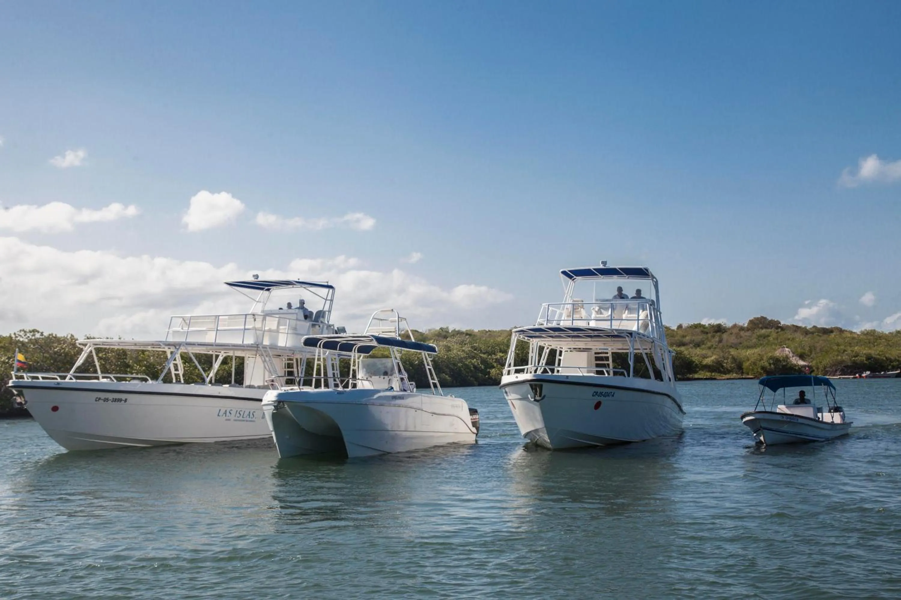 Activities in Hotel Las Islas