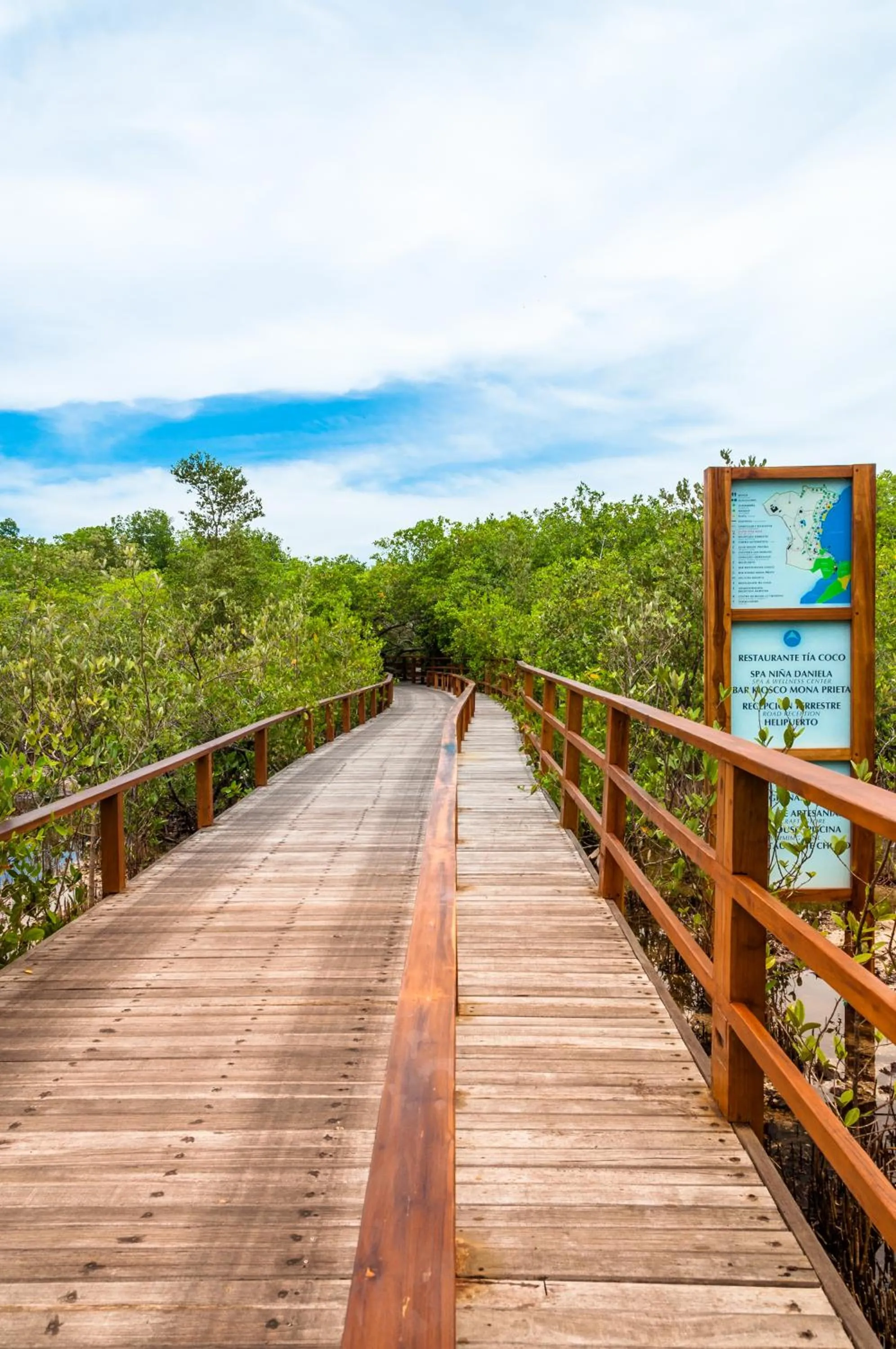 Natural landscape in Hotel Las Islas