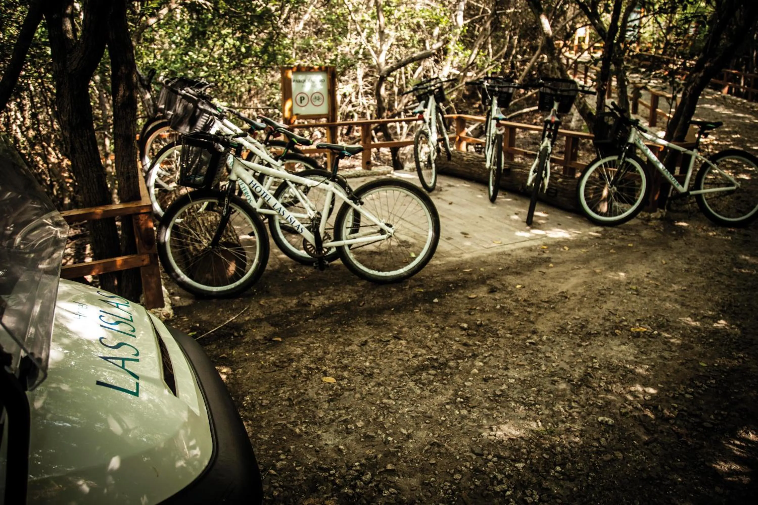 Cycling in Hotel Las Islas
