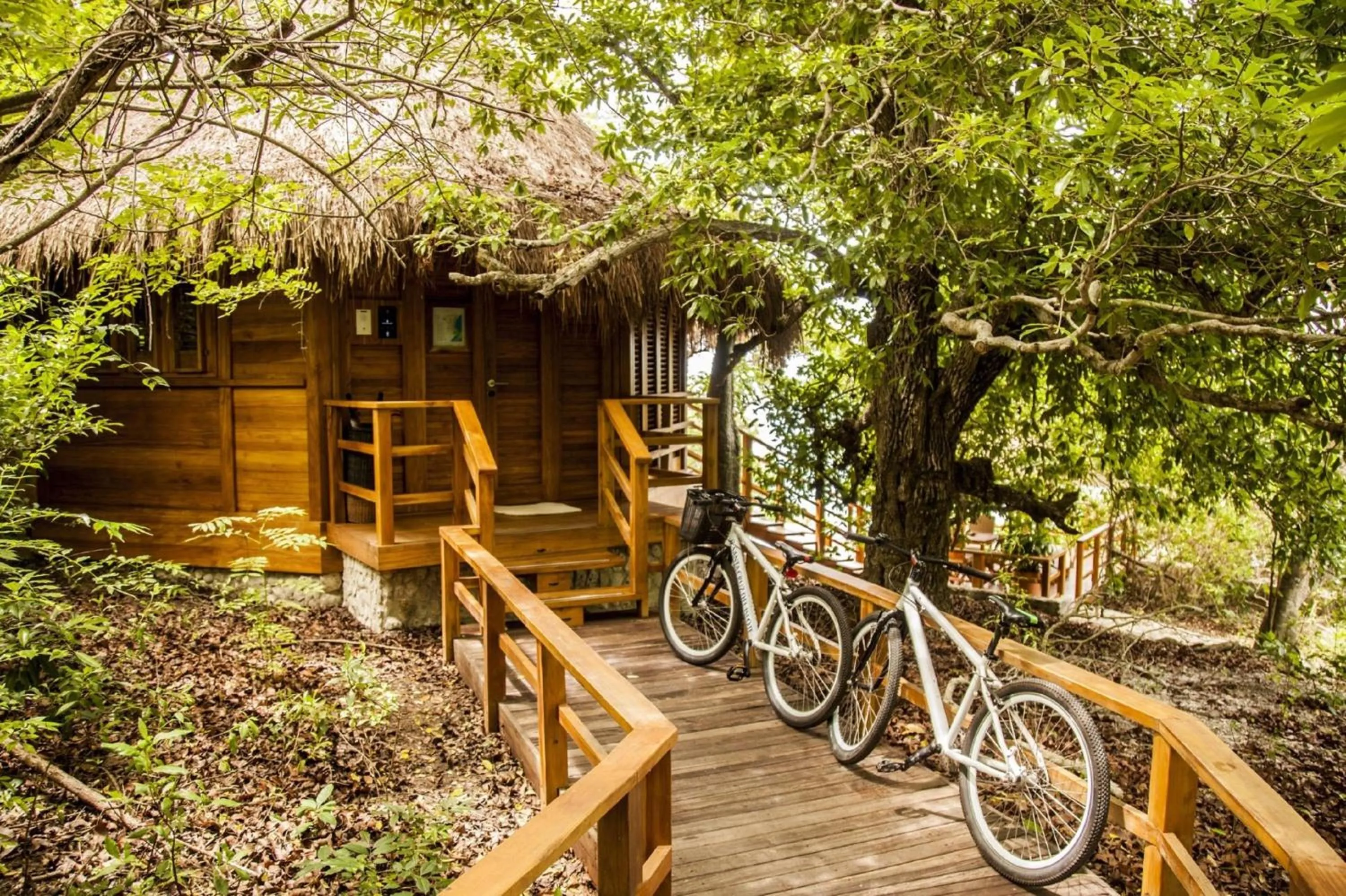 Cycling in Hotel Las Islas