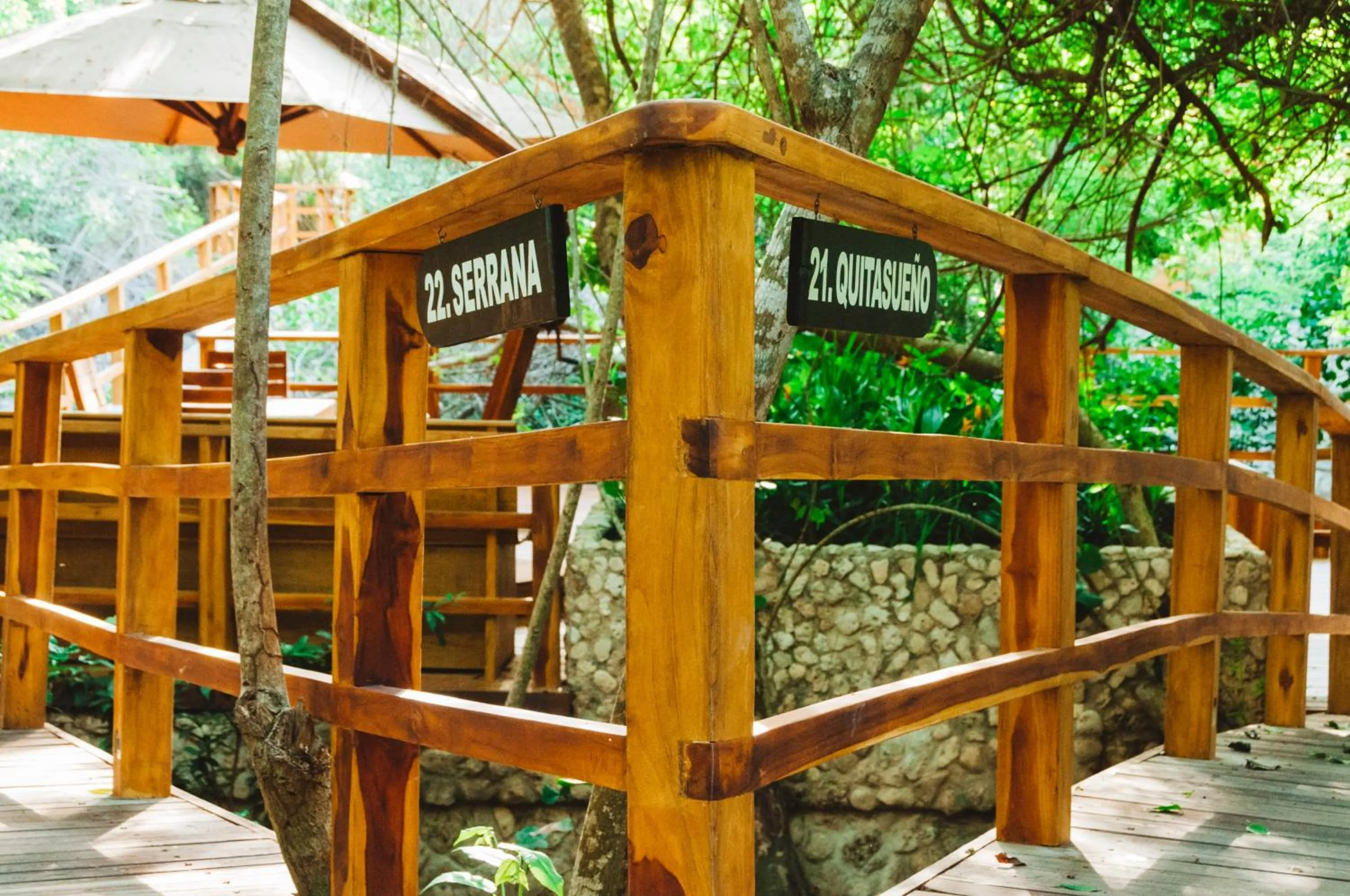 Garden in Hotel Las Islas