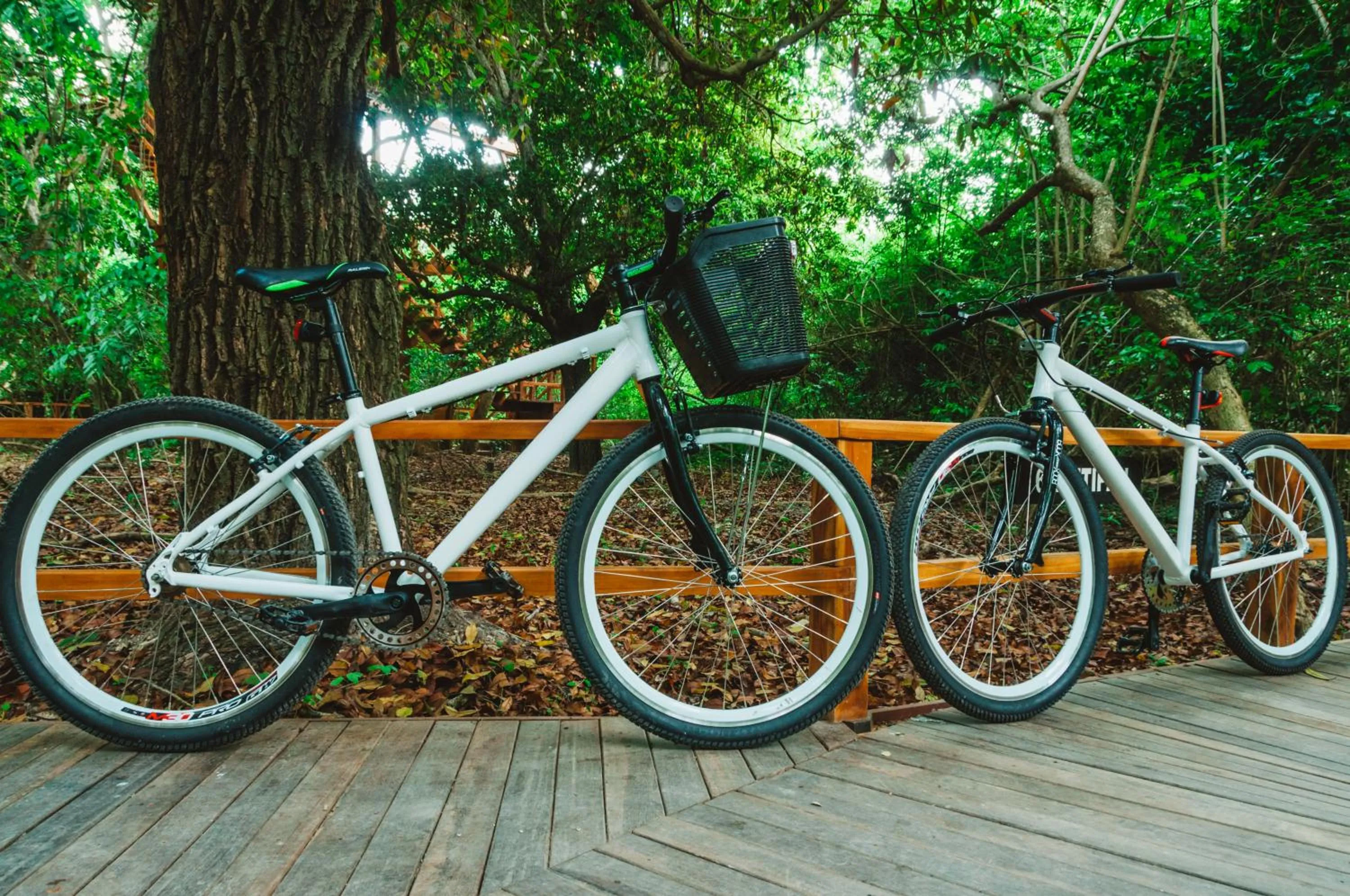 Other in Hotel Las Islas