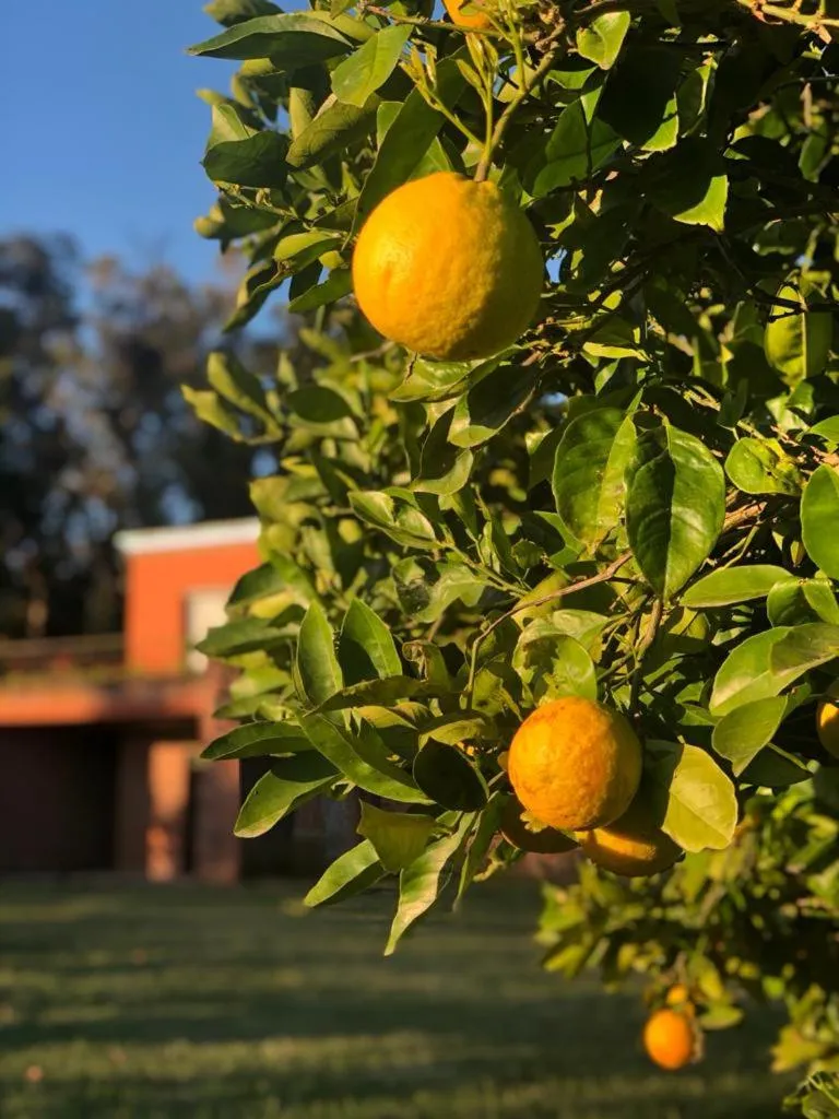 Hotel Apartur Mar del Plata
