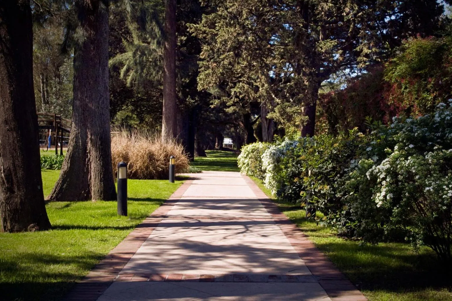 Spring in Sheraton Pilar Hotel & Convention Center