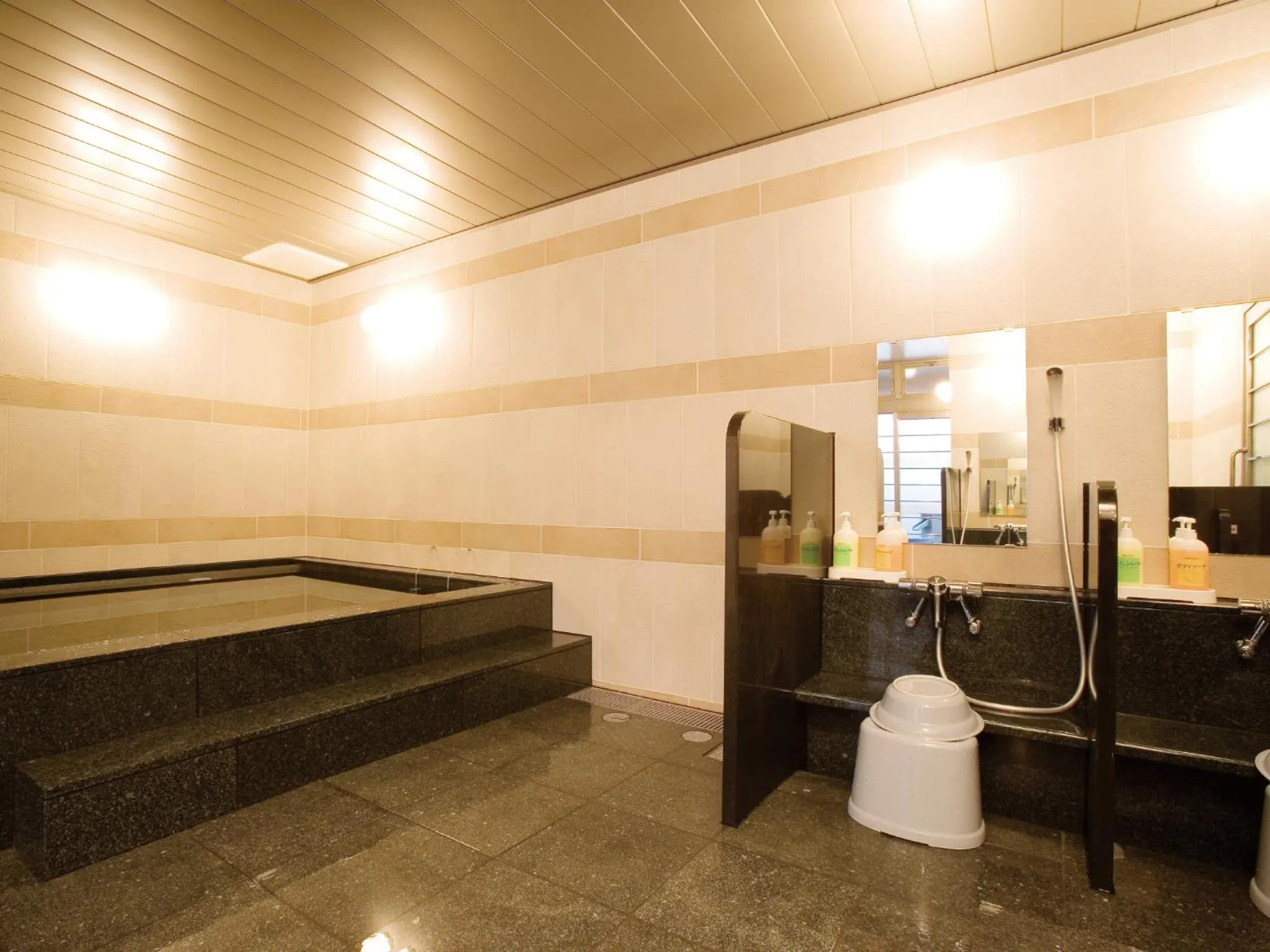 Public Bath in AB Hotel Mikawa Anjo Honkan