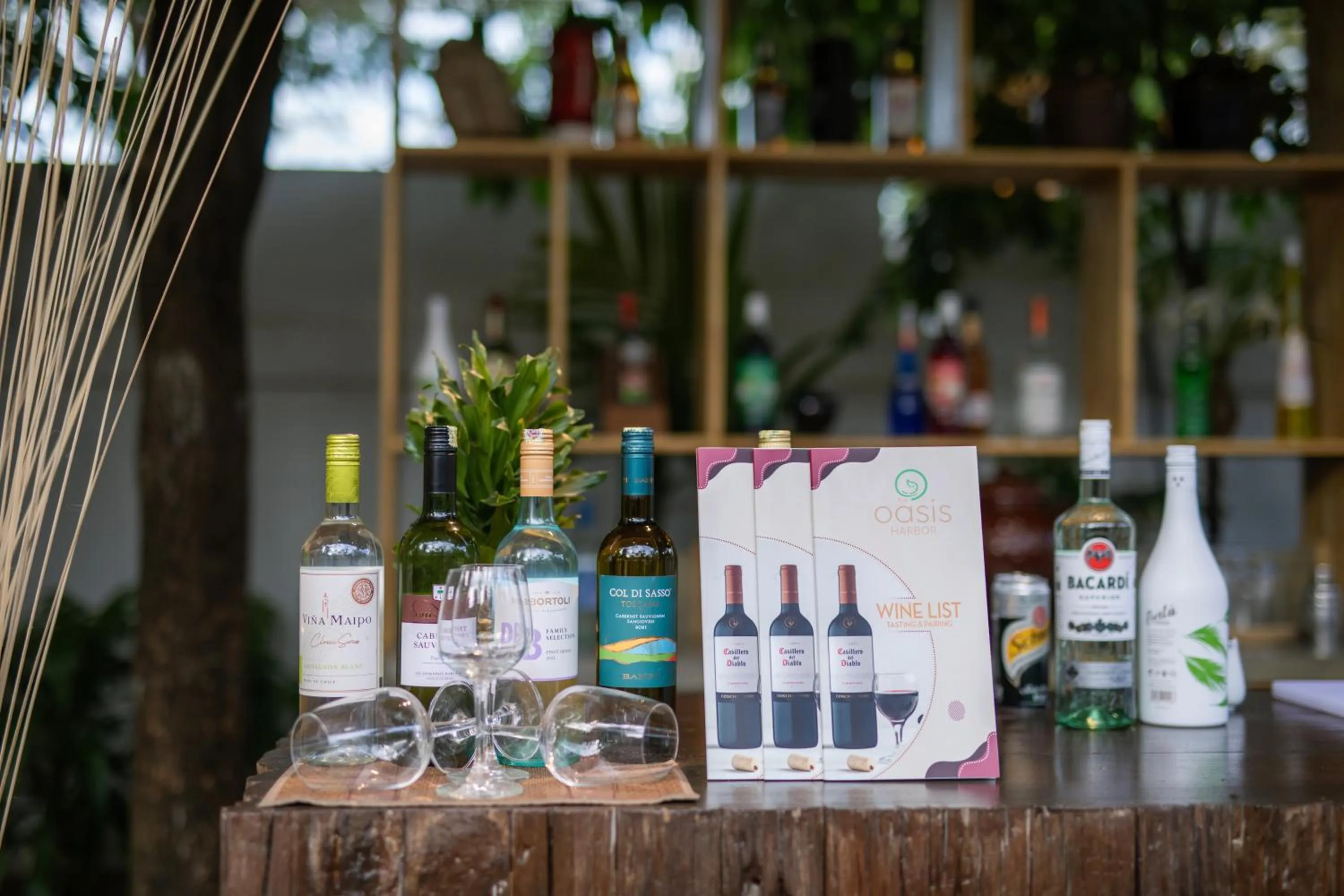 BBQ facilities in The Oasis Harbor