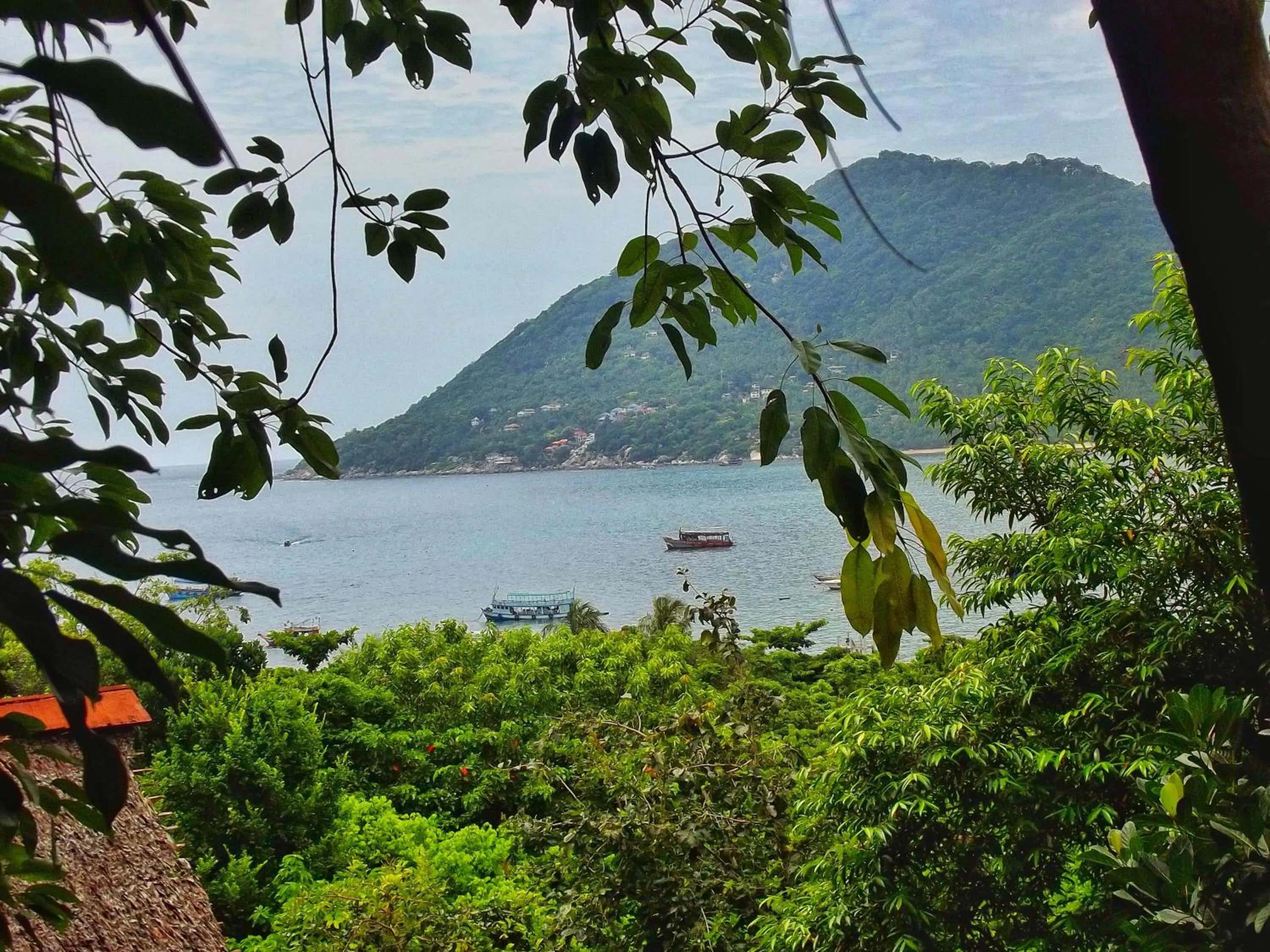Garden view in Koh Tao Royal Resort