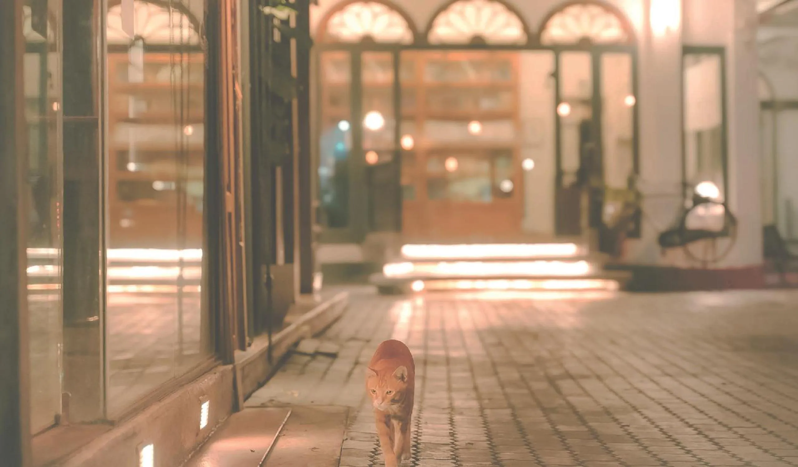 Night in Yesterday Hotel