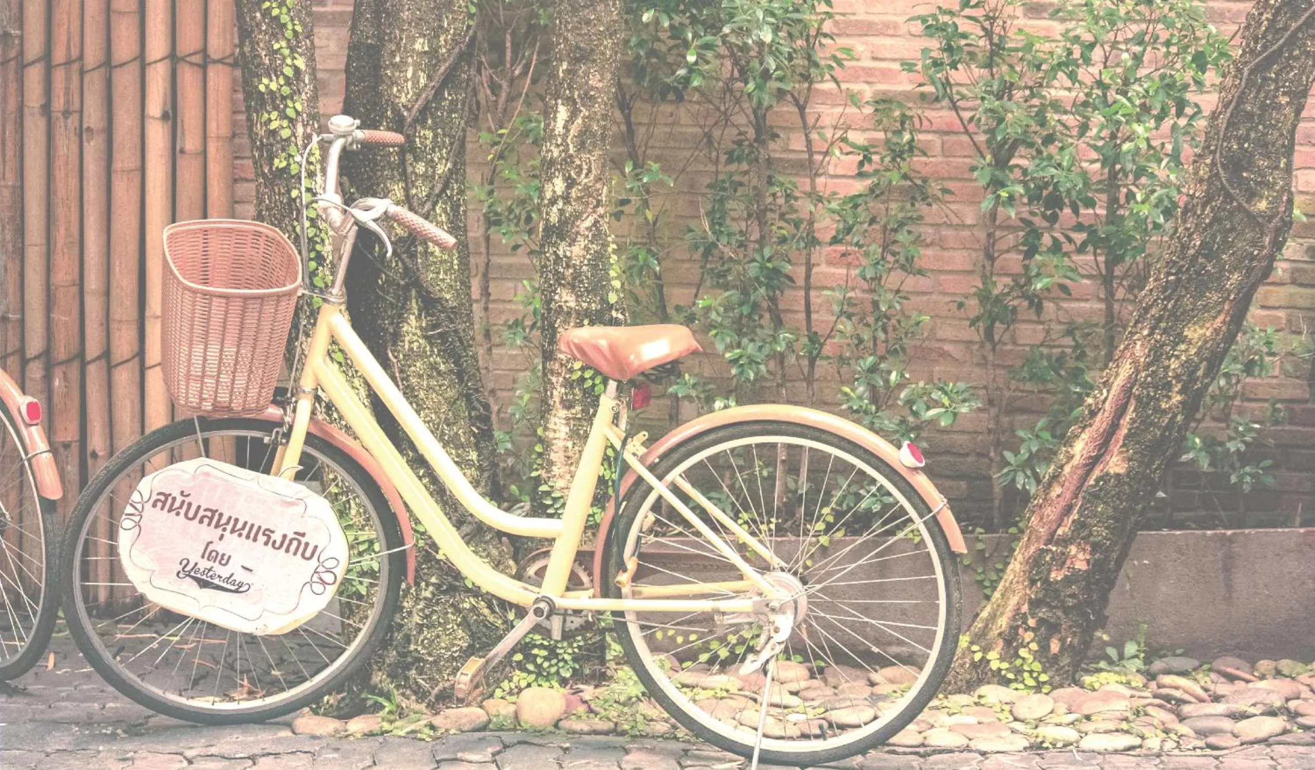 Cycling in Yesterday Hotel