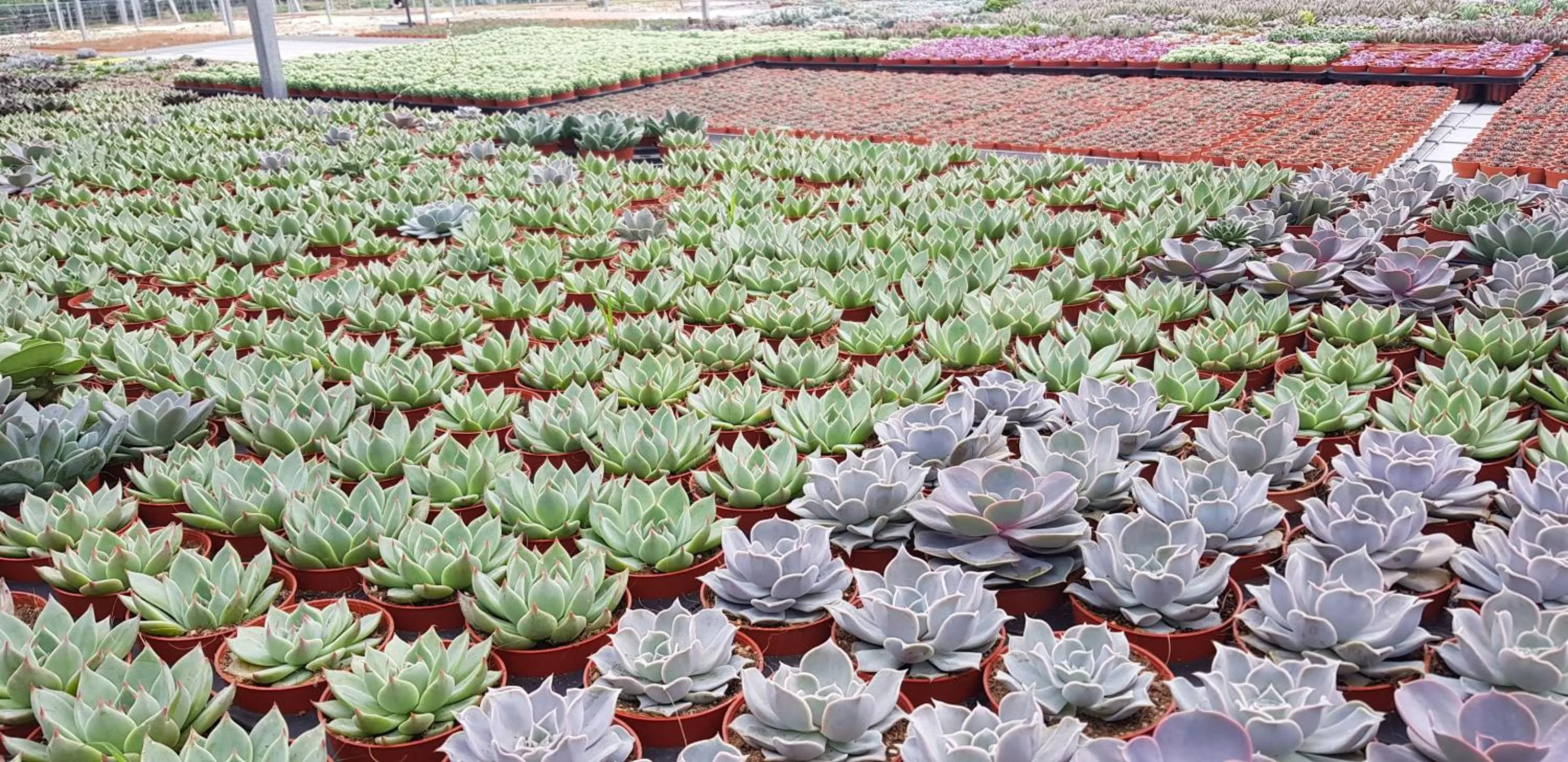 Nearby landmark in Peony Square Residences