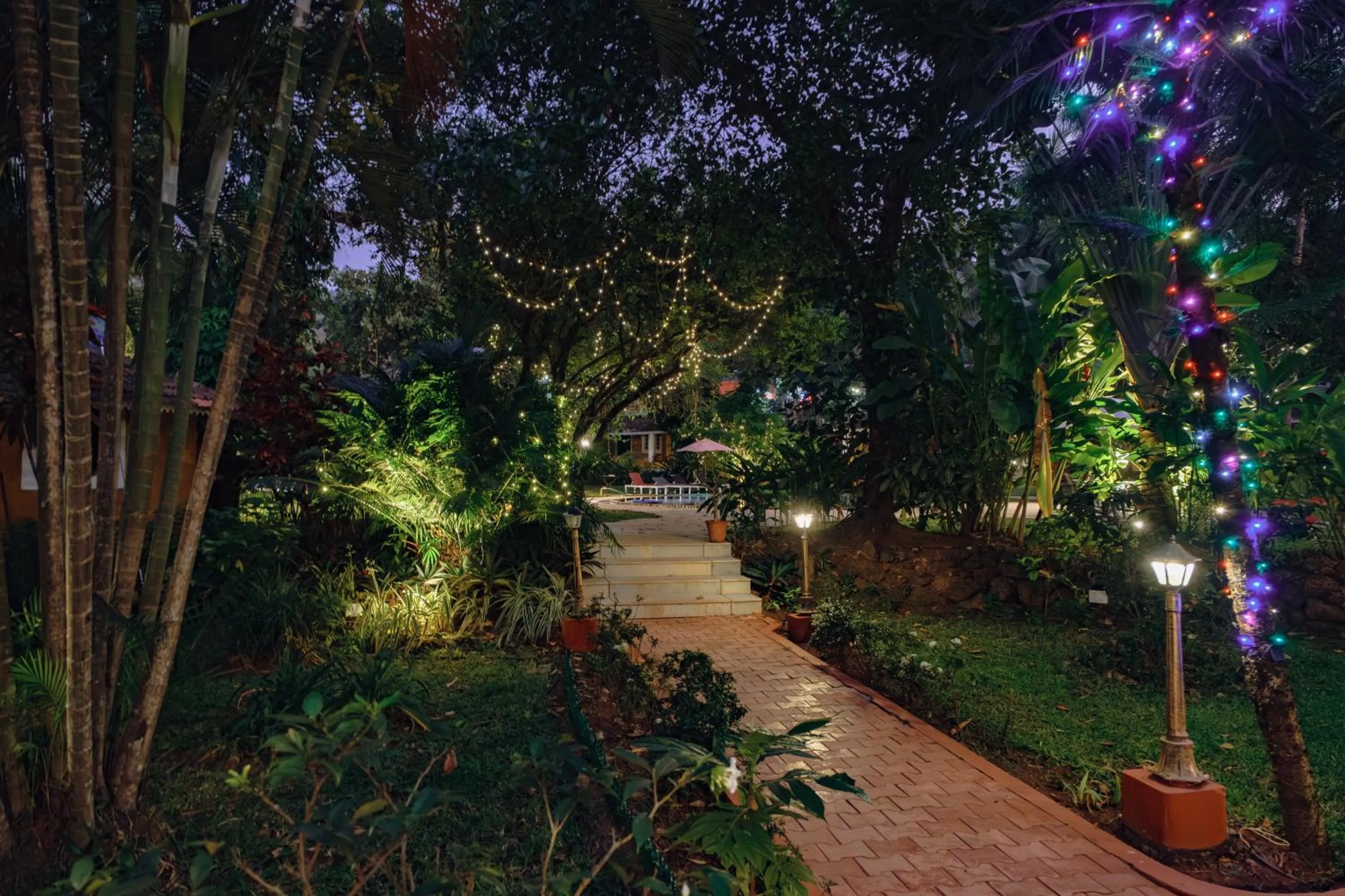 Natural landscape in Granpa's Inn Hotel Bougainvillea