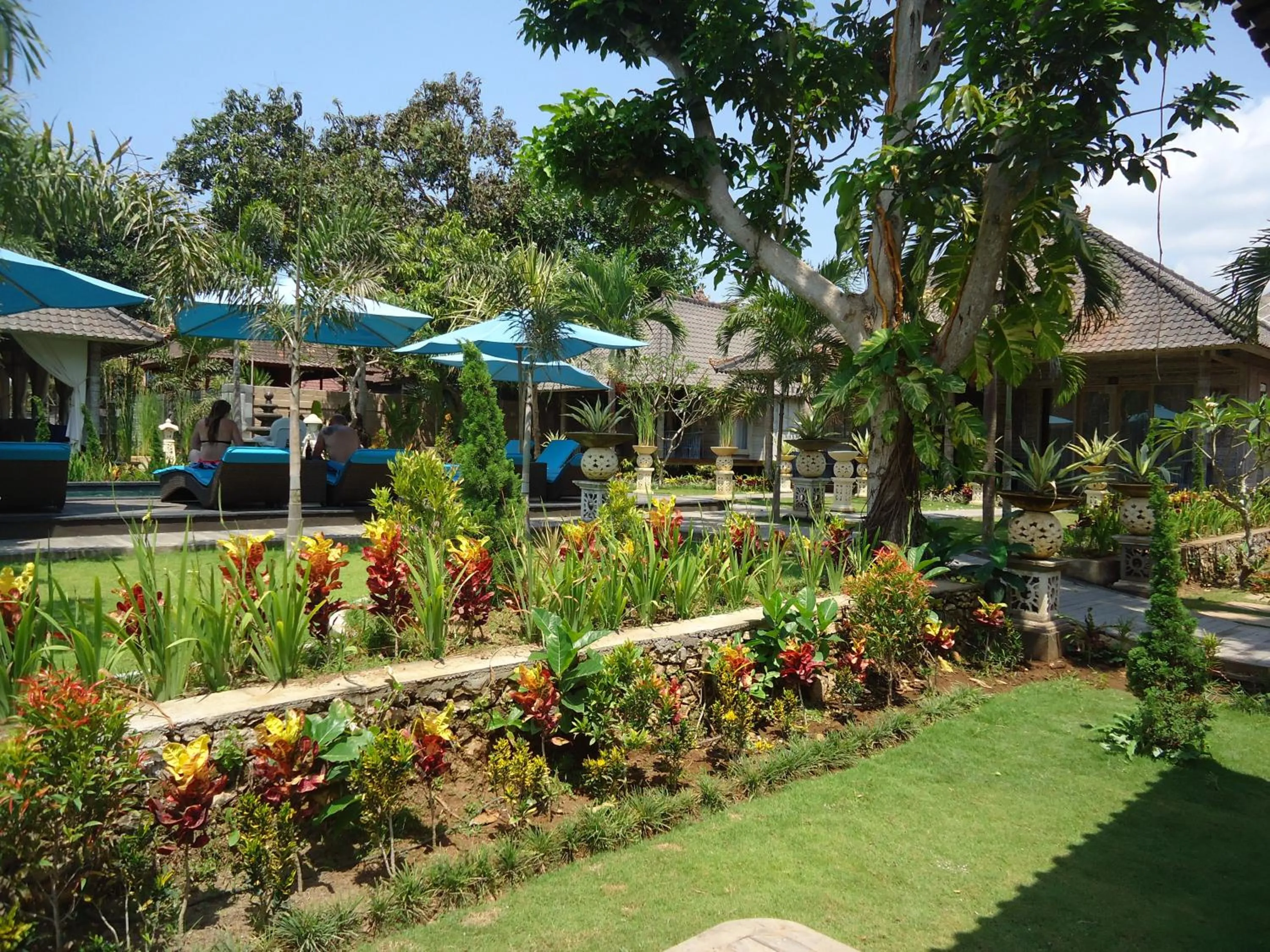 Day in The Palm Grove Villas