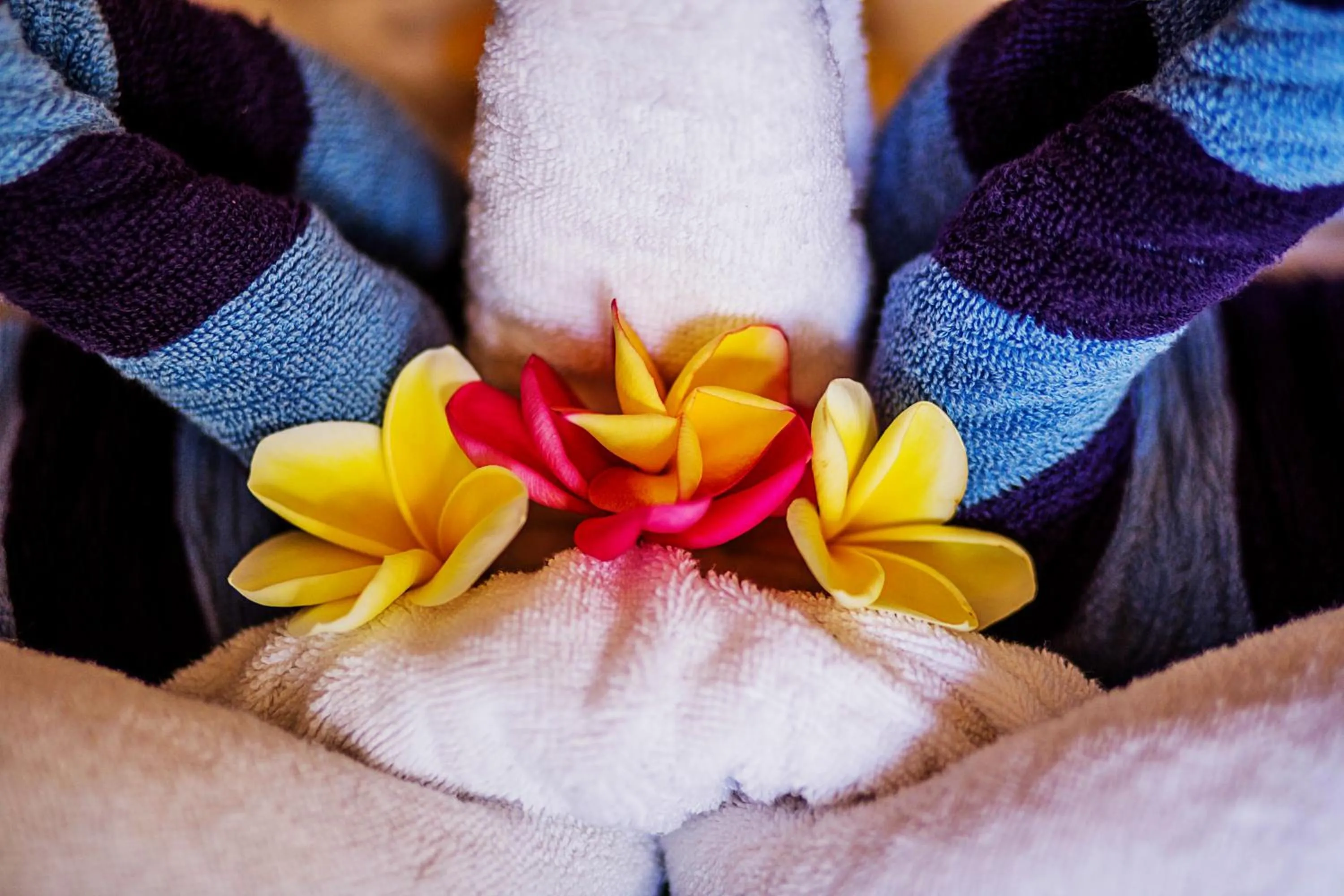 Spa and wellness centre/facilities in The Palm Grove Villas