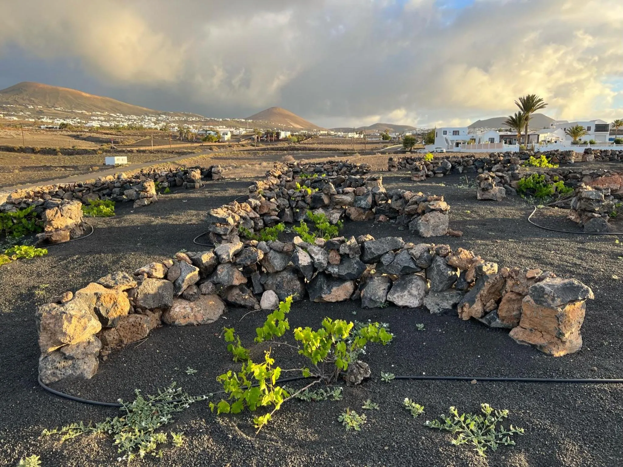 Property building in Finca Isolina Hotel Boutique - Adults Recommended