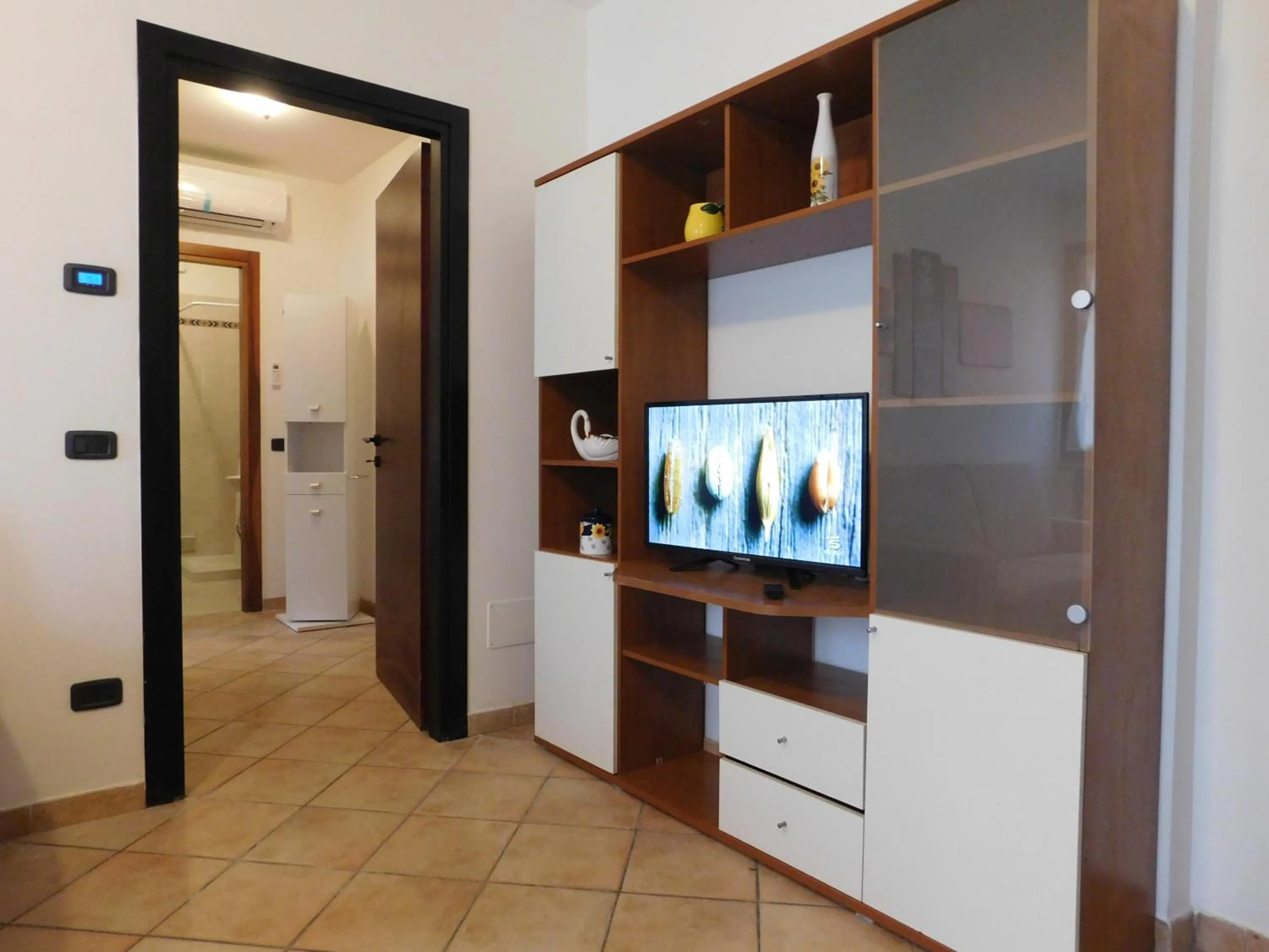 TV and multimedia in Residenza Meeting