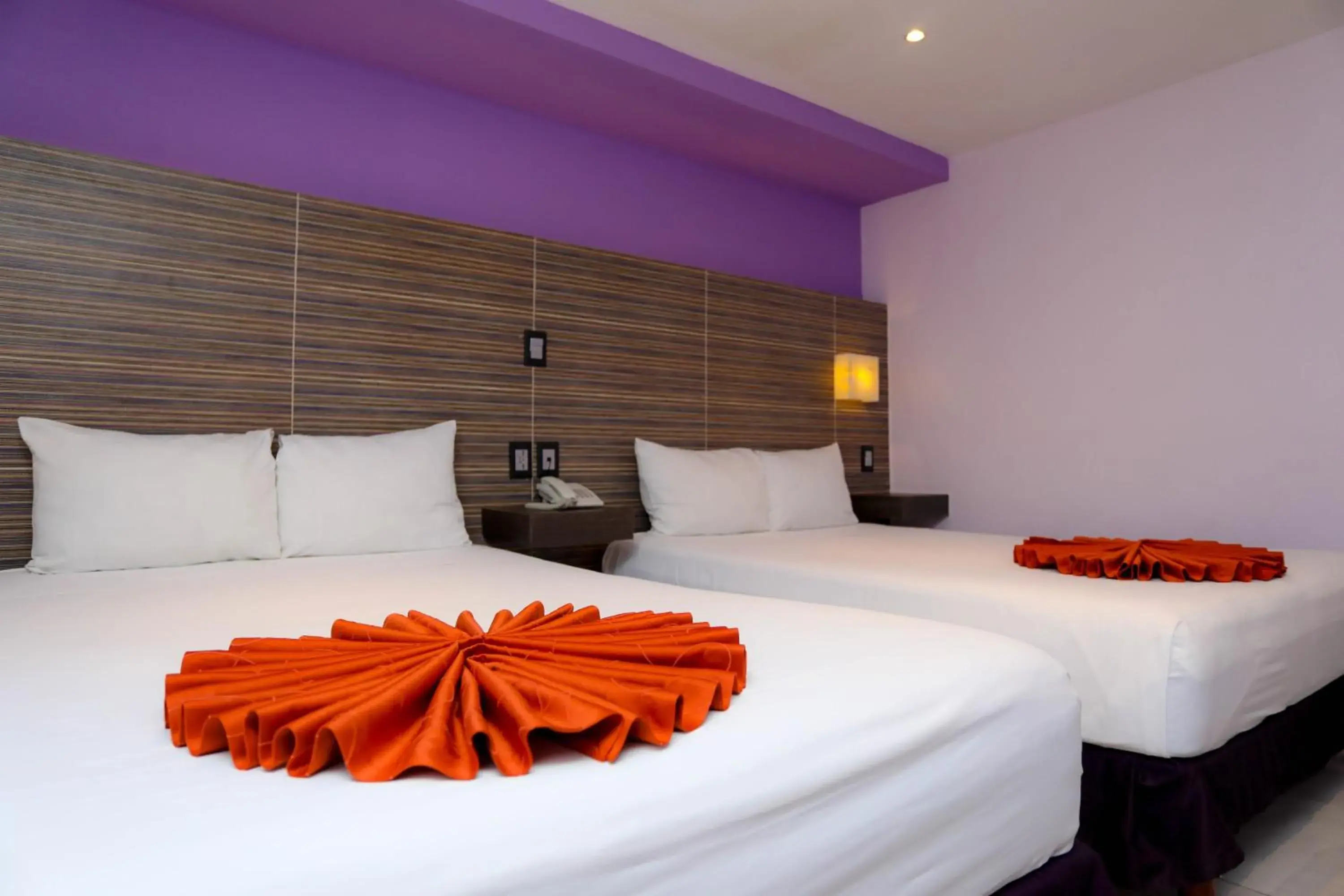 Twin Room - single occupancy in Hotel Kavia Twin Room - single occupancy in Hotel Kavia