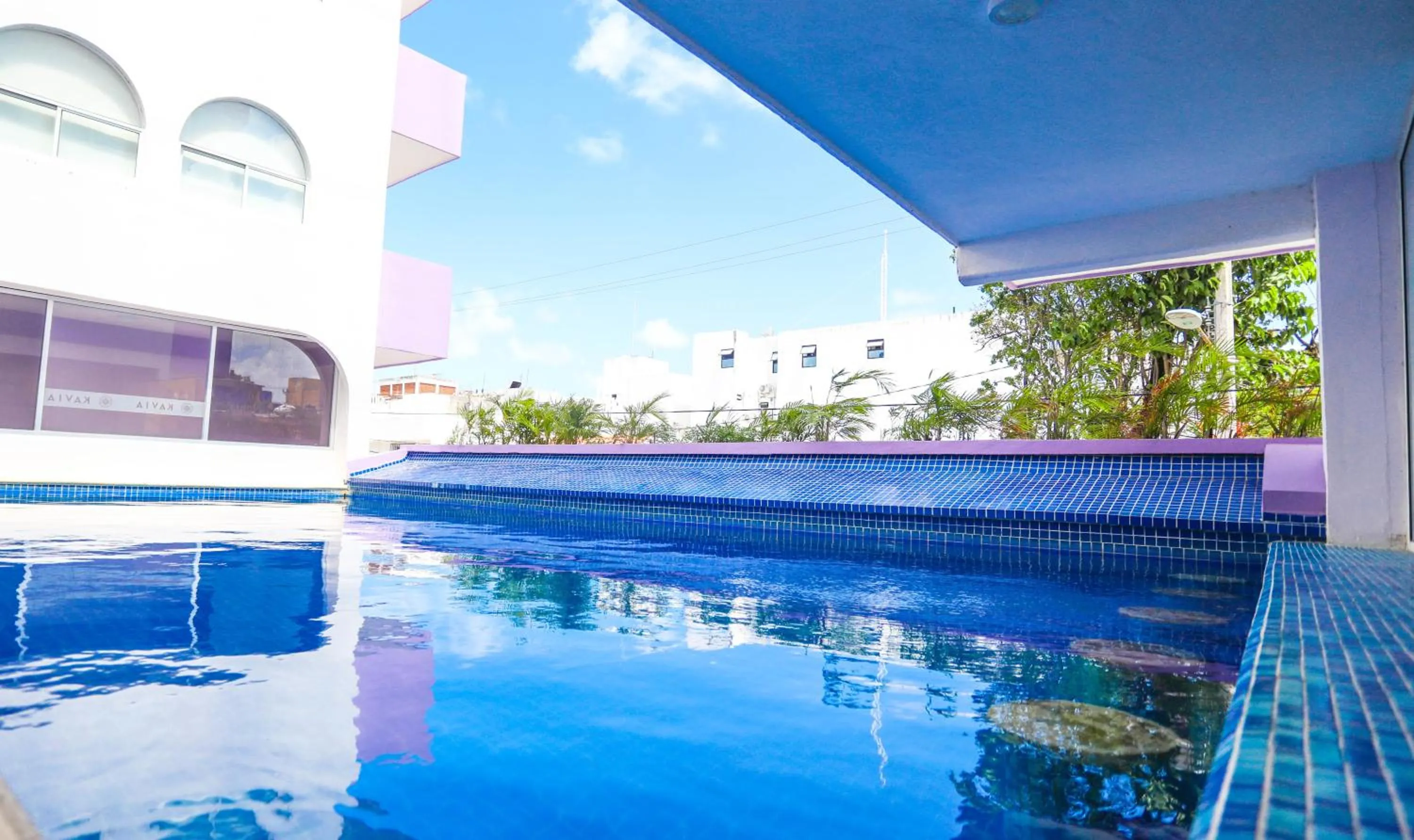 Pool view in Hotel Kavia