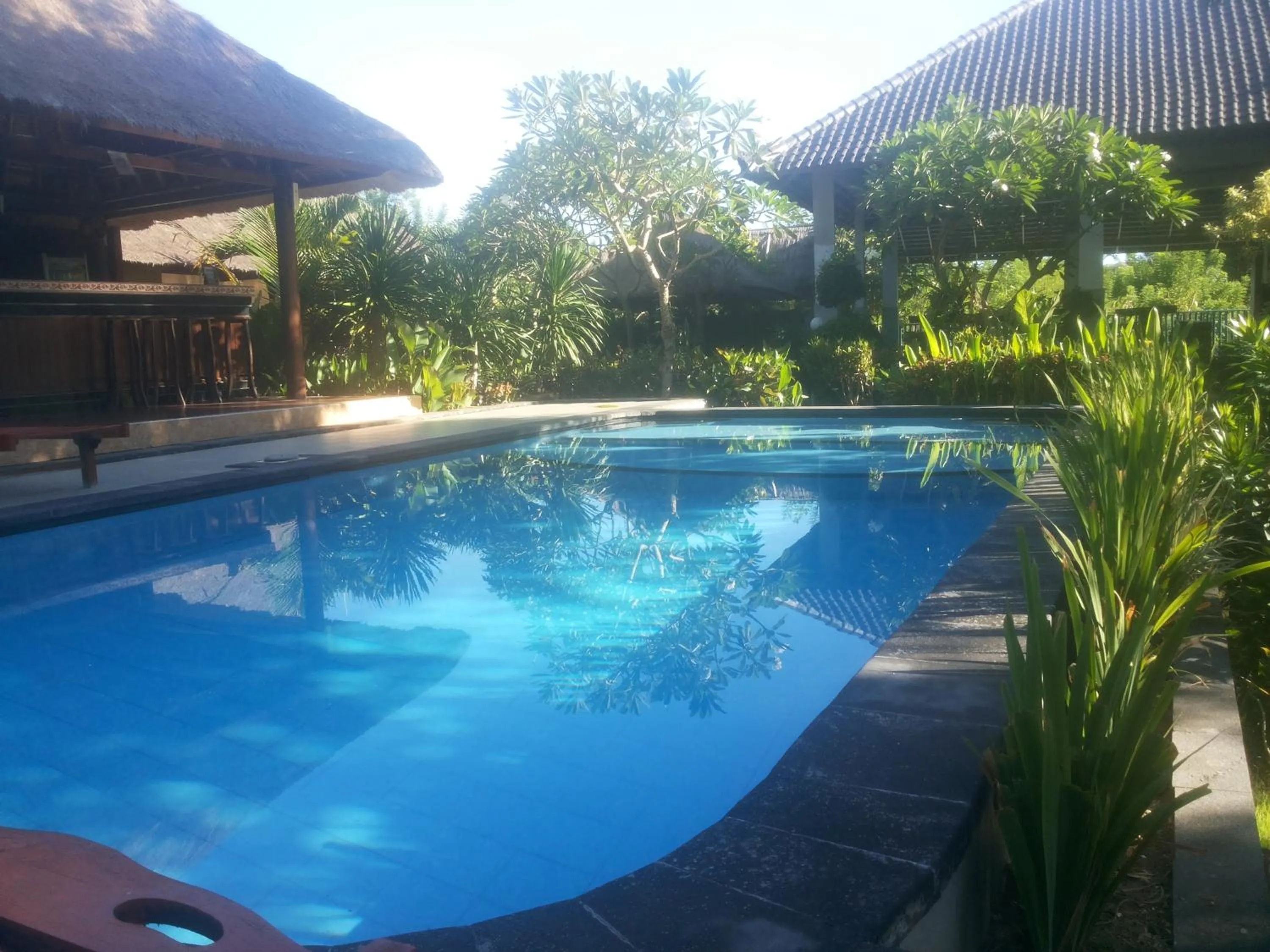 Swimming pool in Lotus Garden Huts
