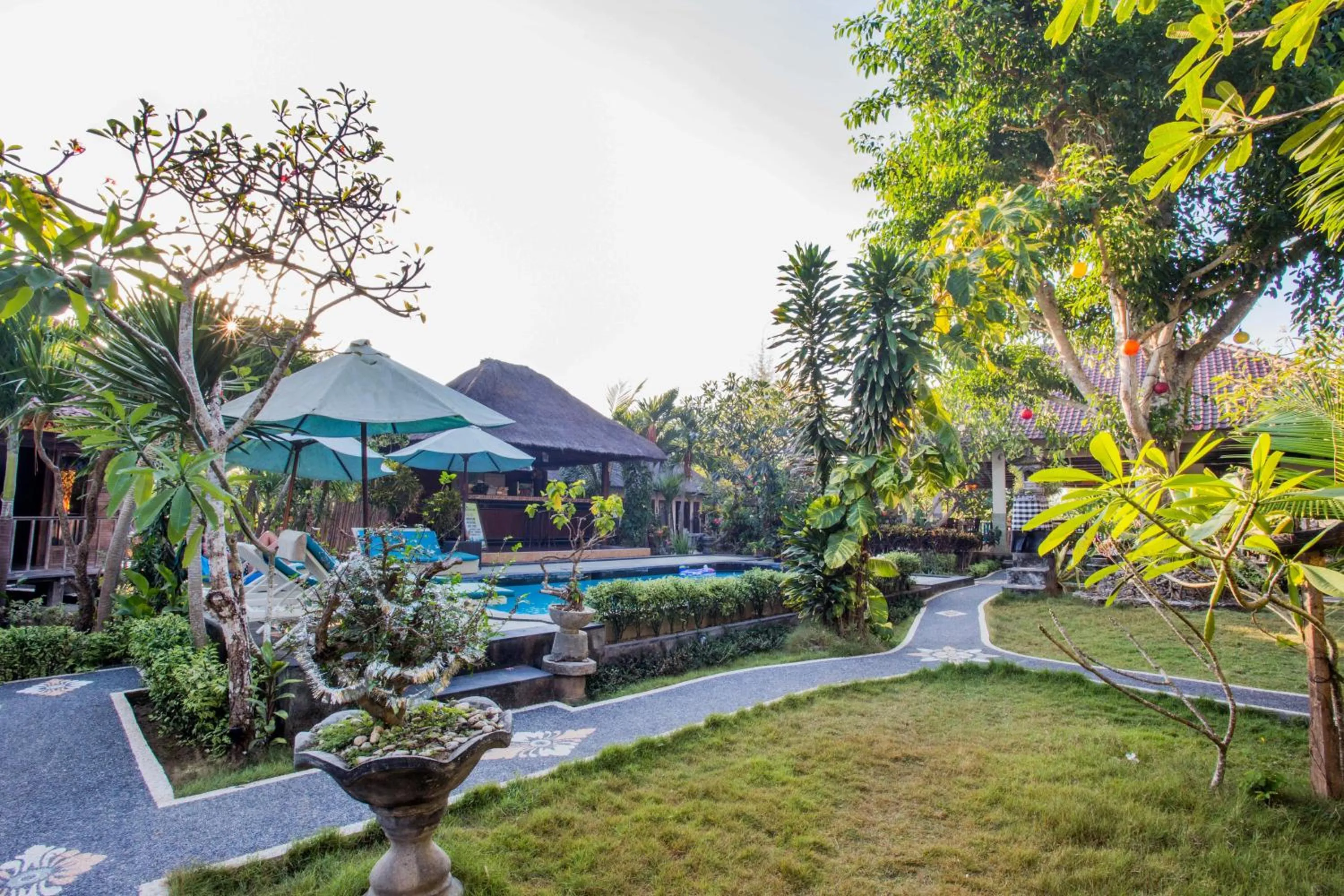 Garden view in Lotus Garden Huts
