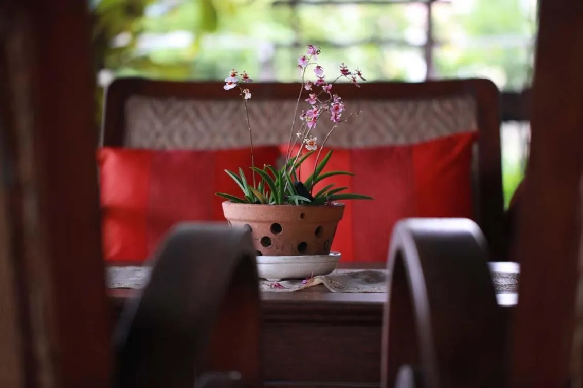 Baan Tye Wang Guesthouse