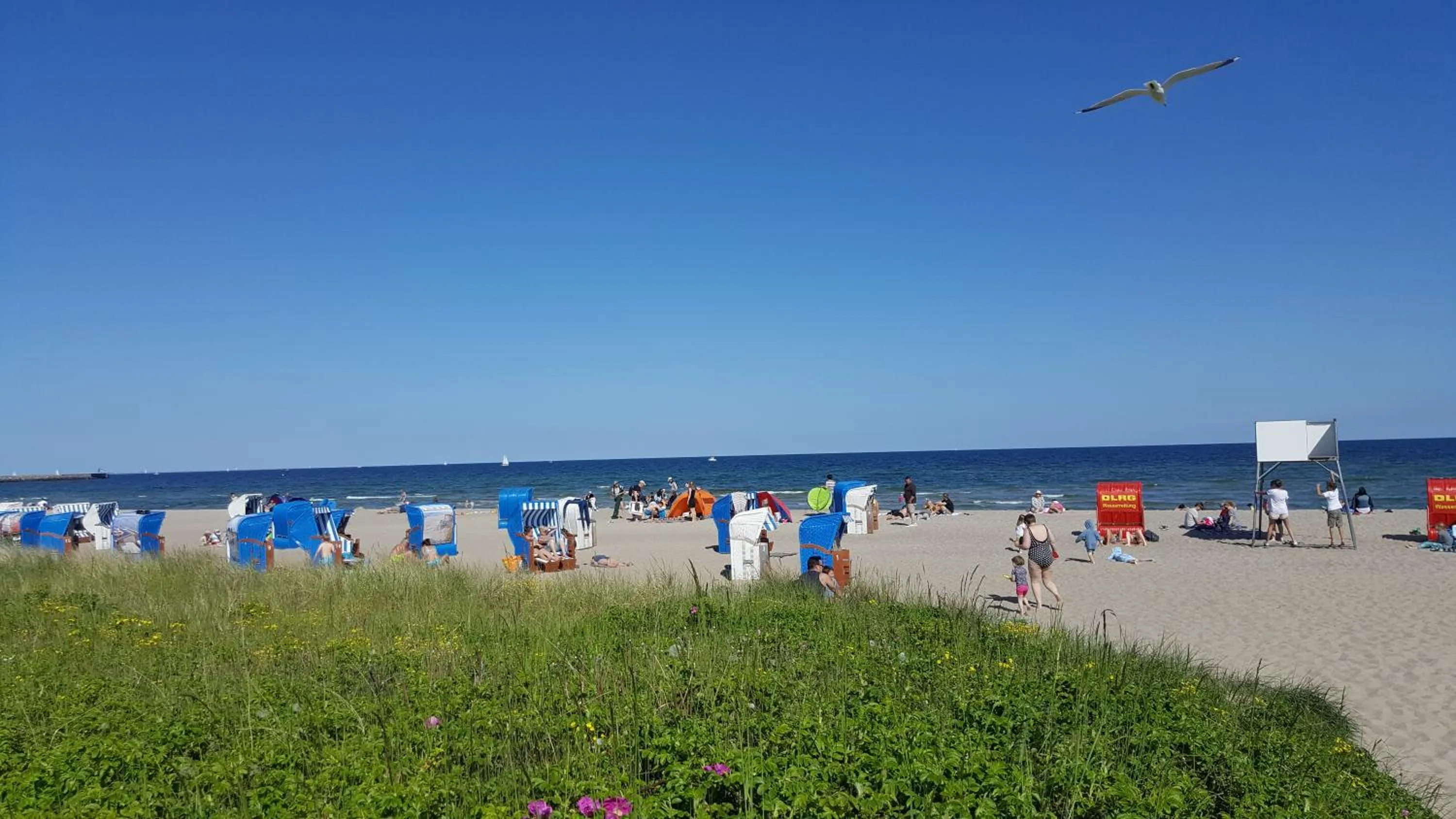 Activities in Ostseehotel Kappeln by team SchleiFee