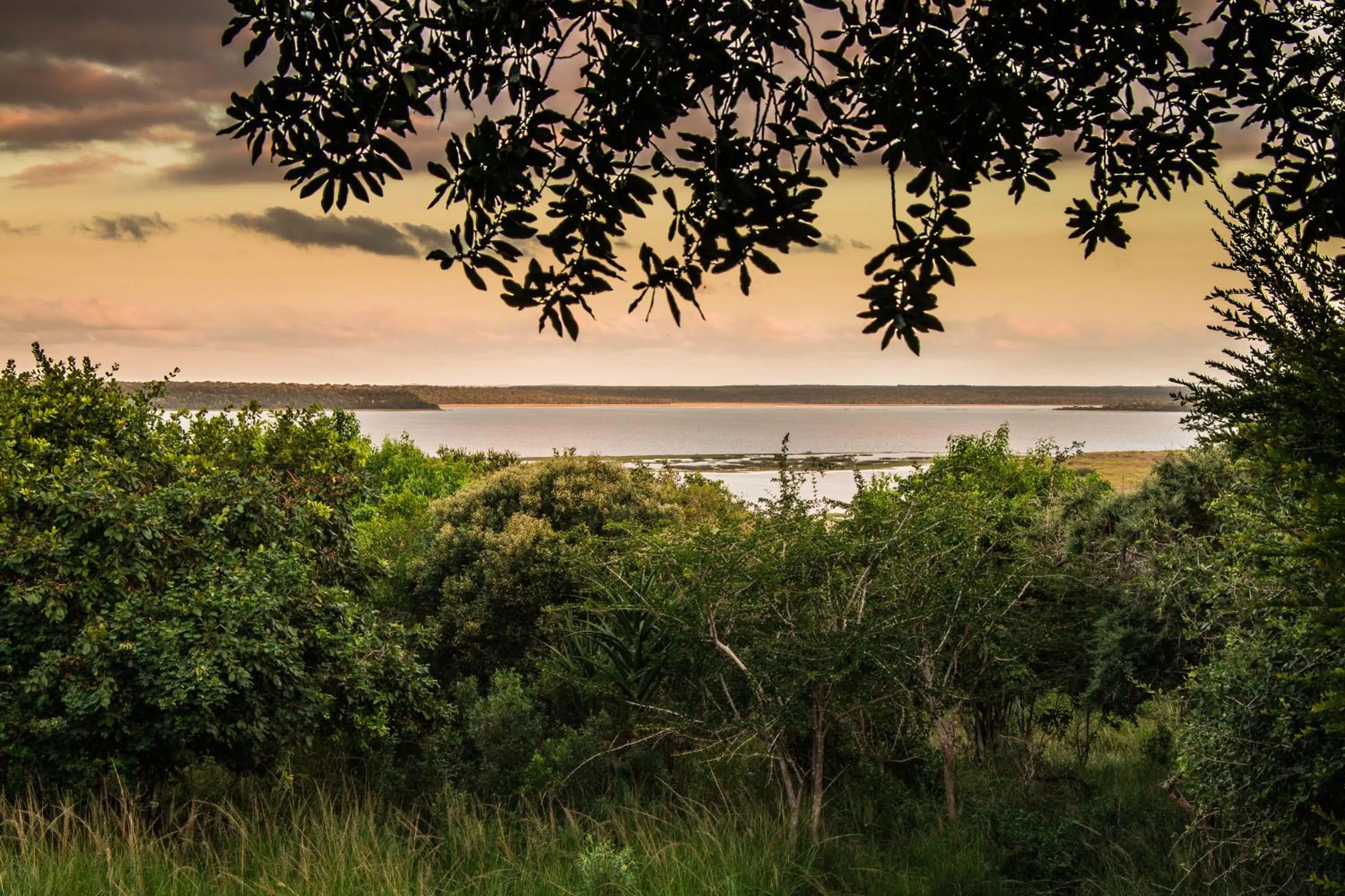 View (from property/room) in Hluhluwe River Lodge