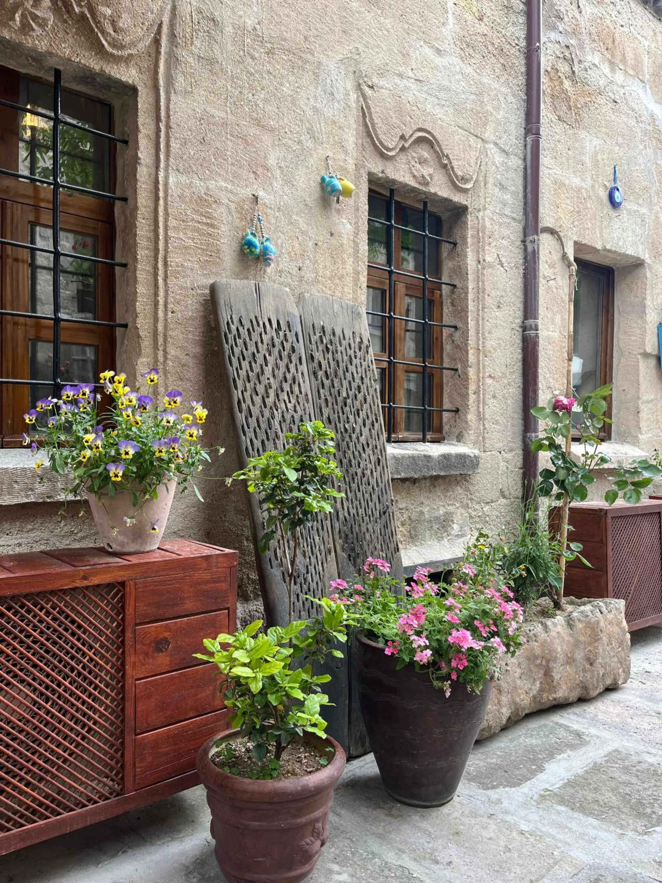 Garden view in Century Cave Hotel