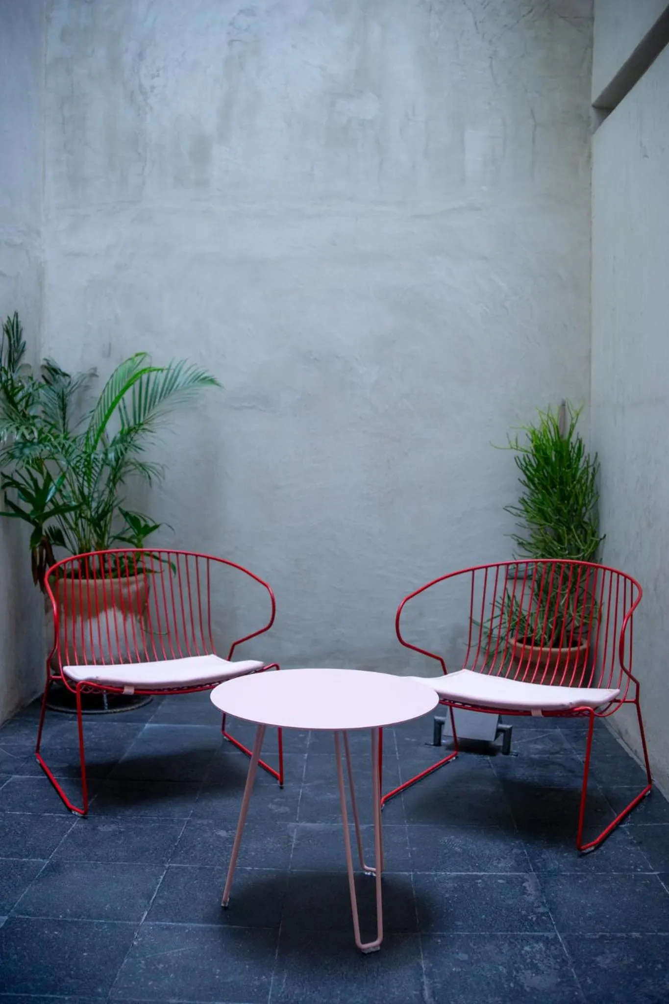 Patio in Casa Antonieta