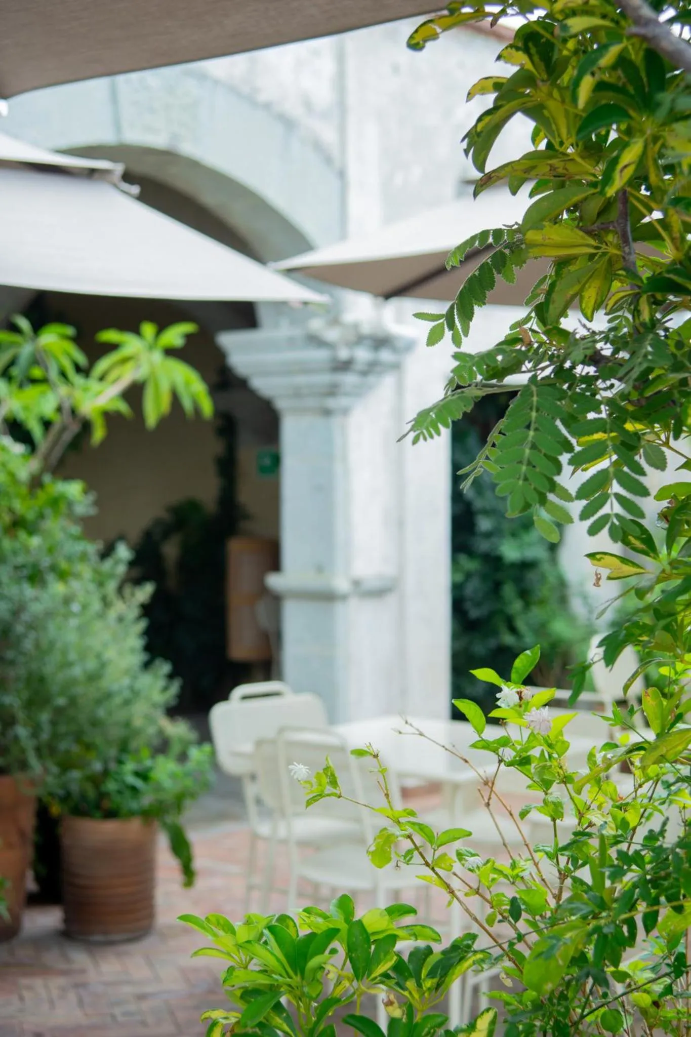 Balcony/Terrace in Casa Antonieta