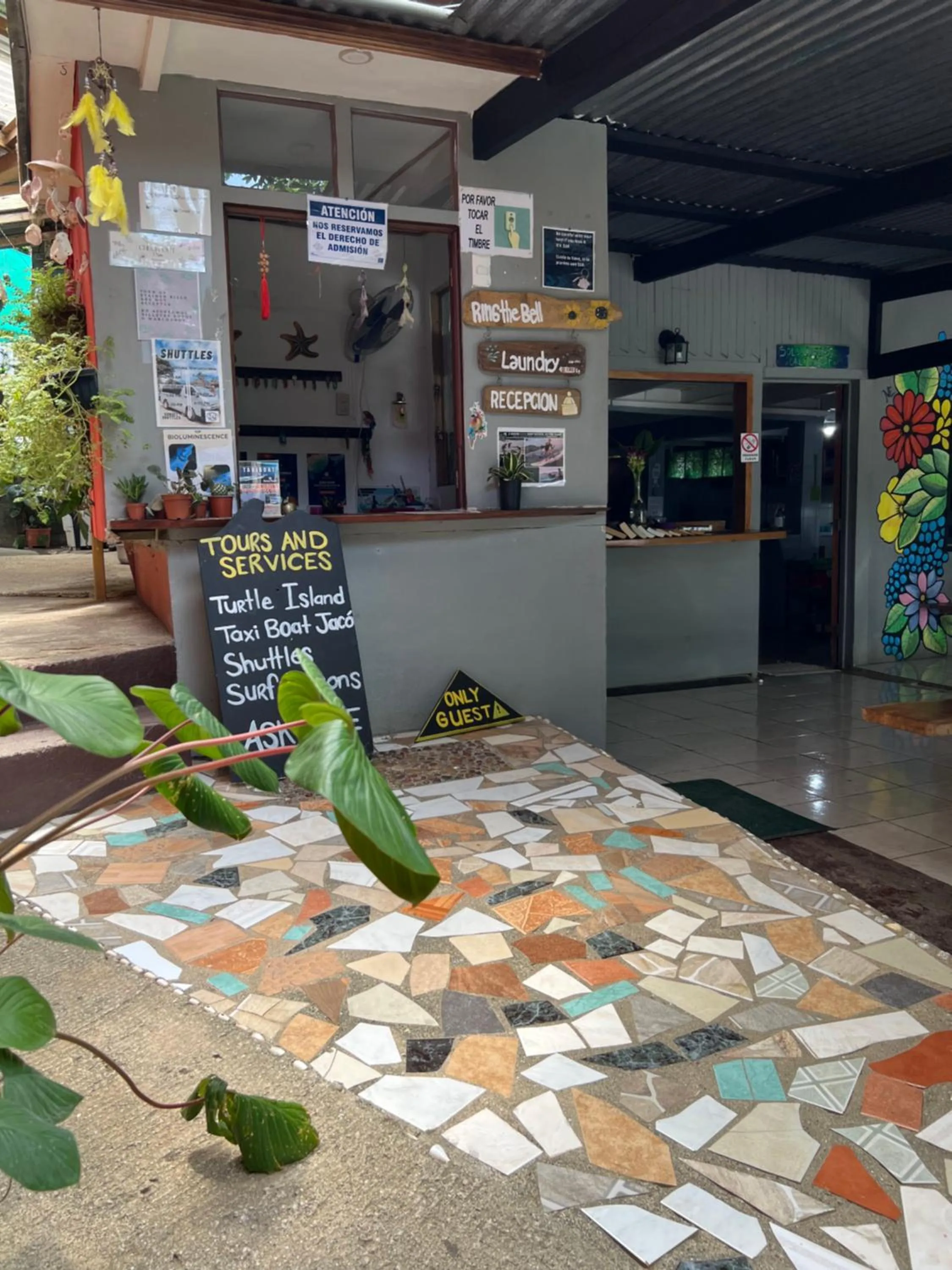 Lobby or reception in Pura Vida Hostel
