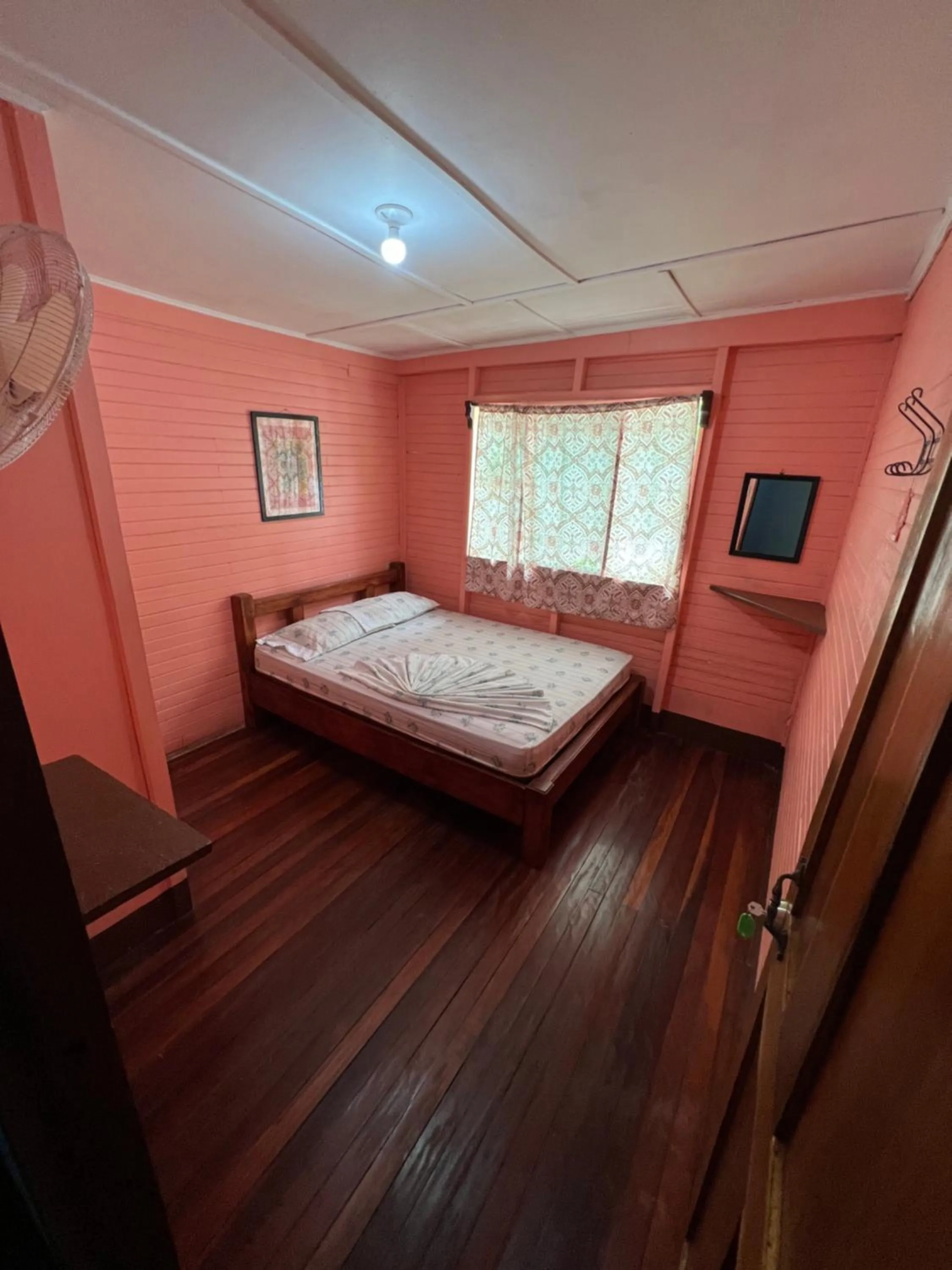 Photo of the whole room, Bed in Pura Vida Hostel