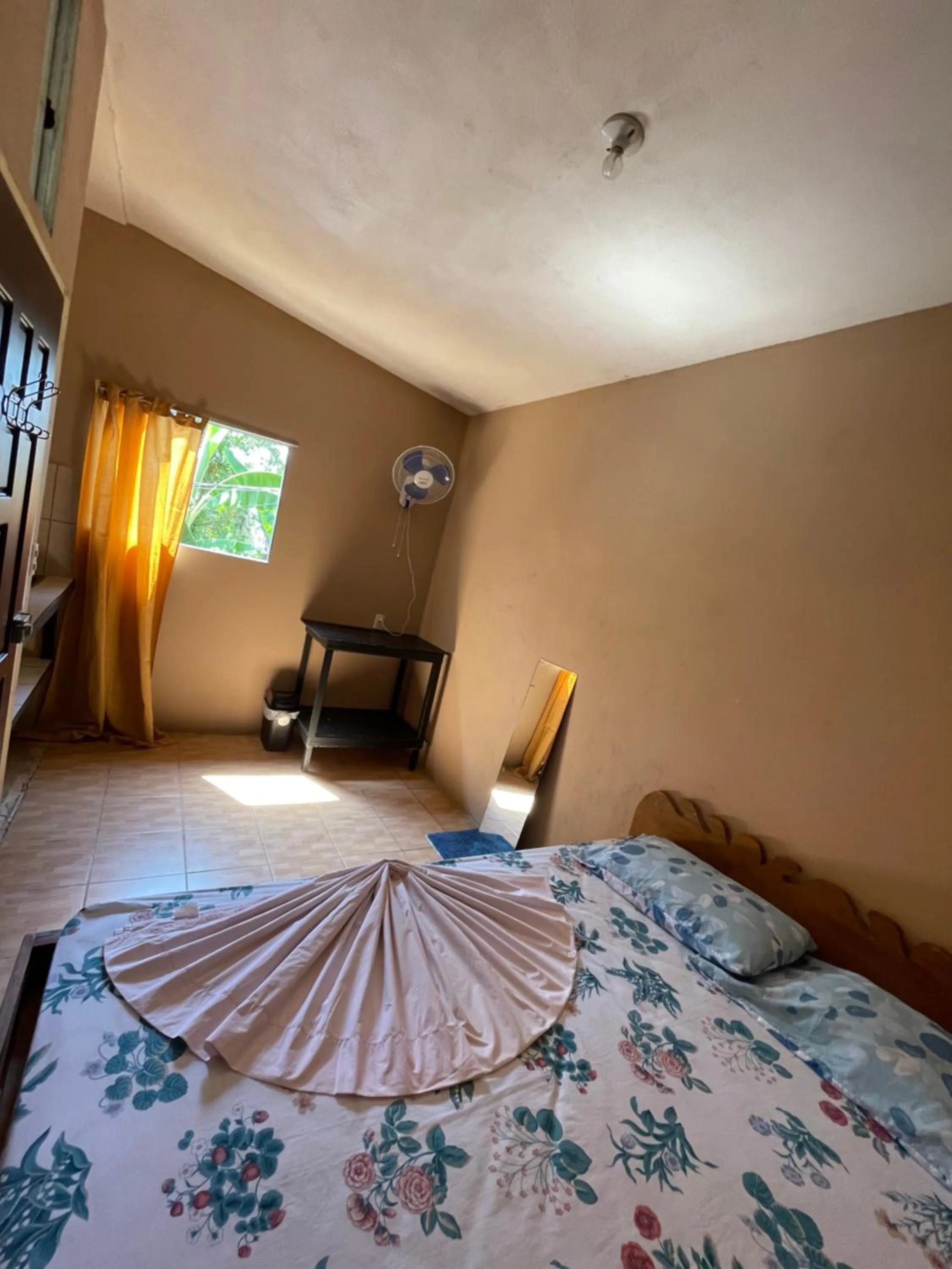 Photo of the whole room, Bed in Pura Vida Hostel