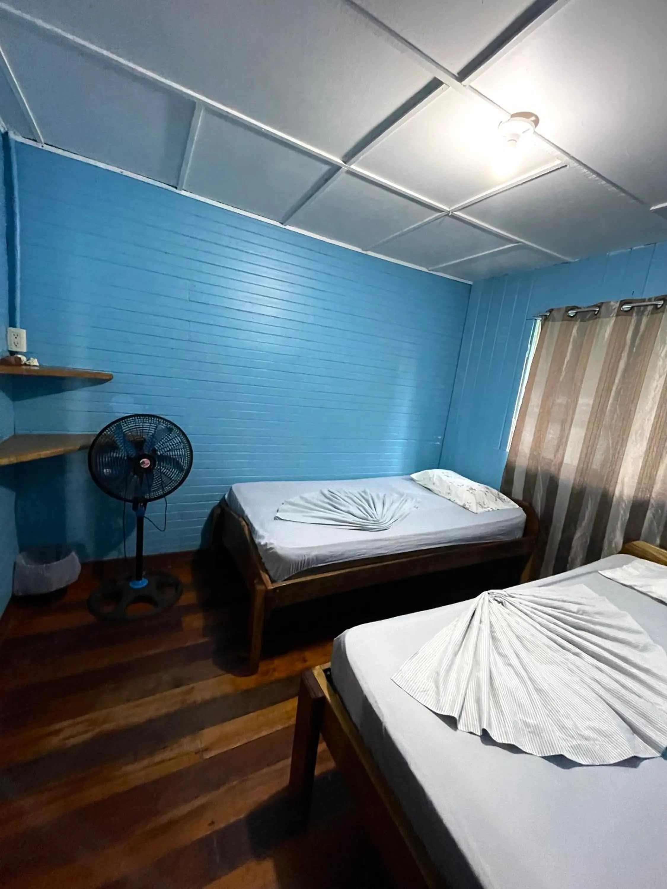 Photo of the whole room, Bed in Pura Vida Hostel