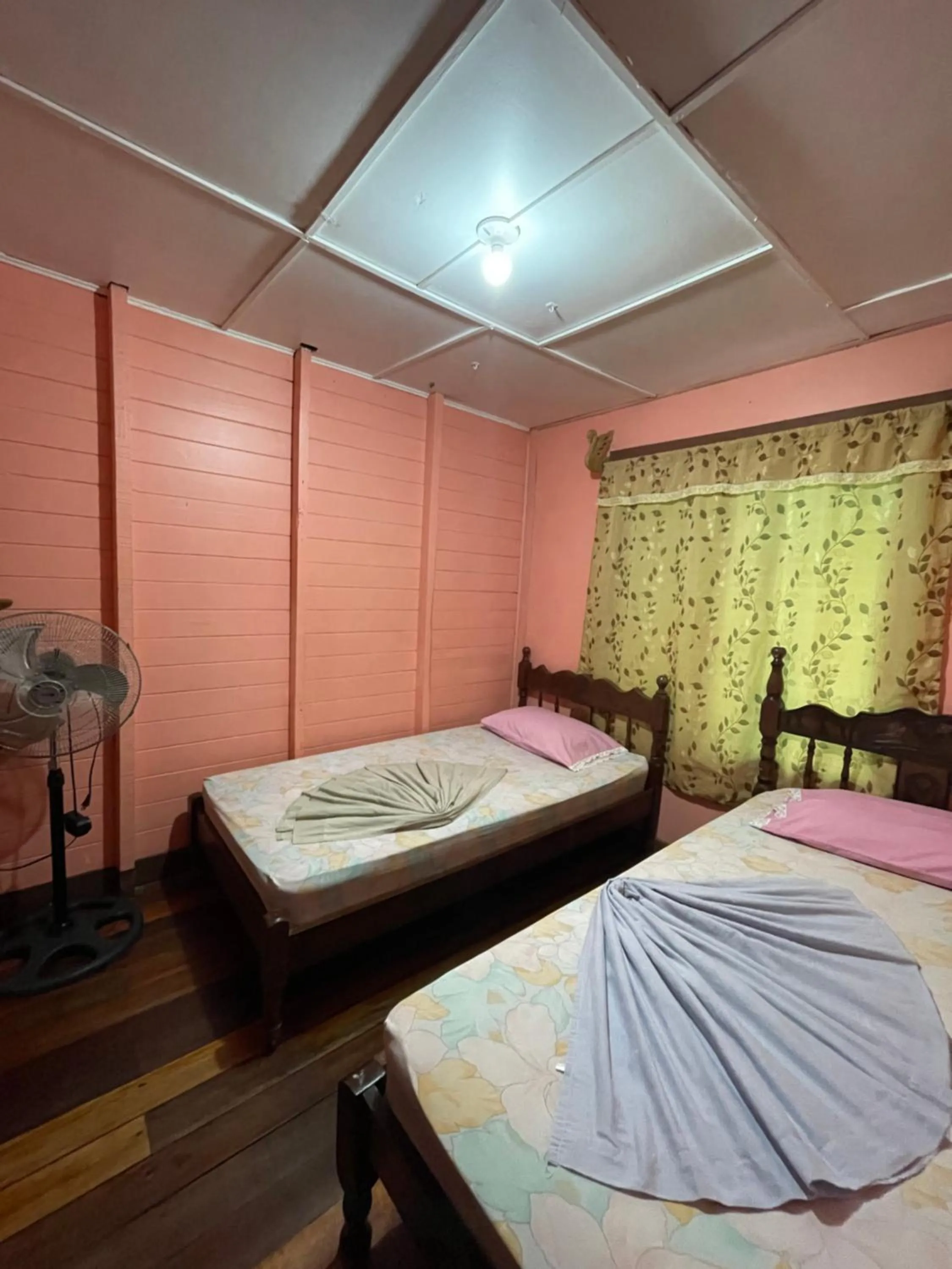 Photo of the whole room, Bed in Pura Vida Hostel