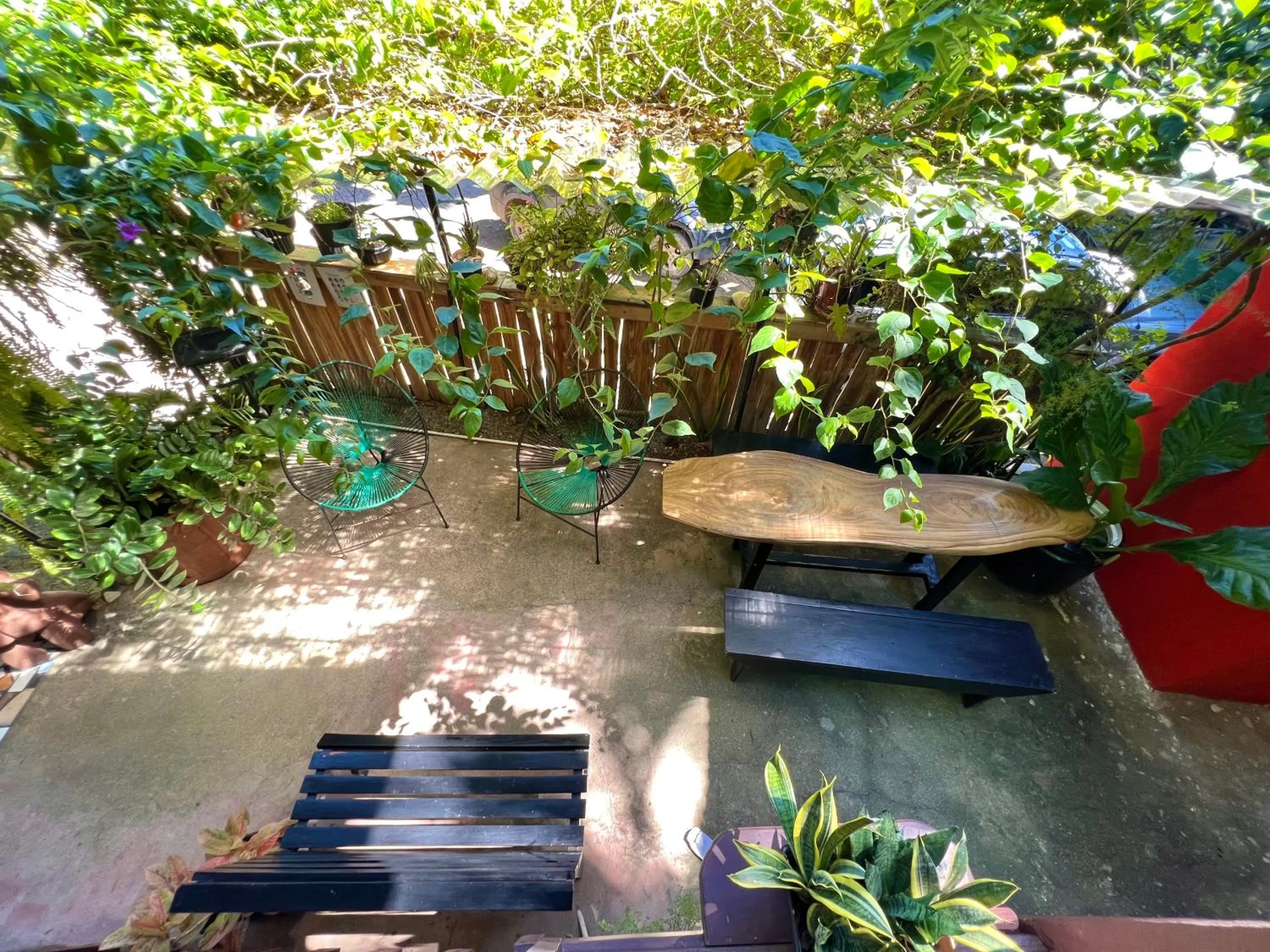 Spring in Pura Vida Hostel