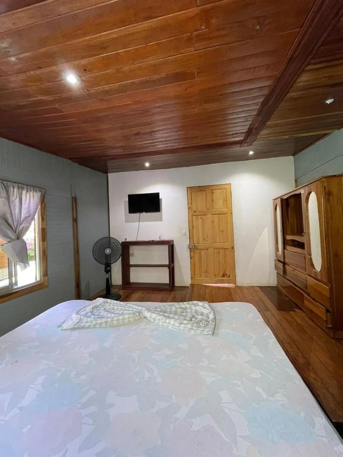 Photo of the whole room, Bed in Pura Vida Hostel