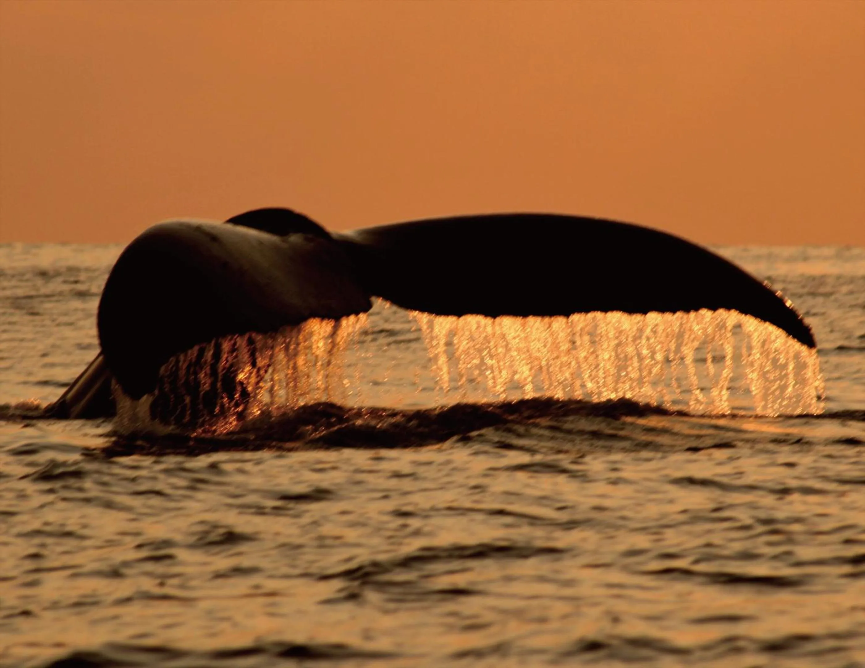 Off site in Zoe Resort The Sunset Village Okinawa Chatan