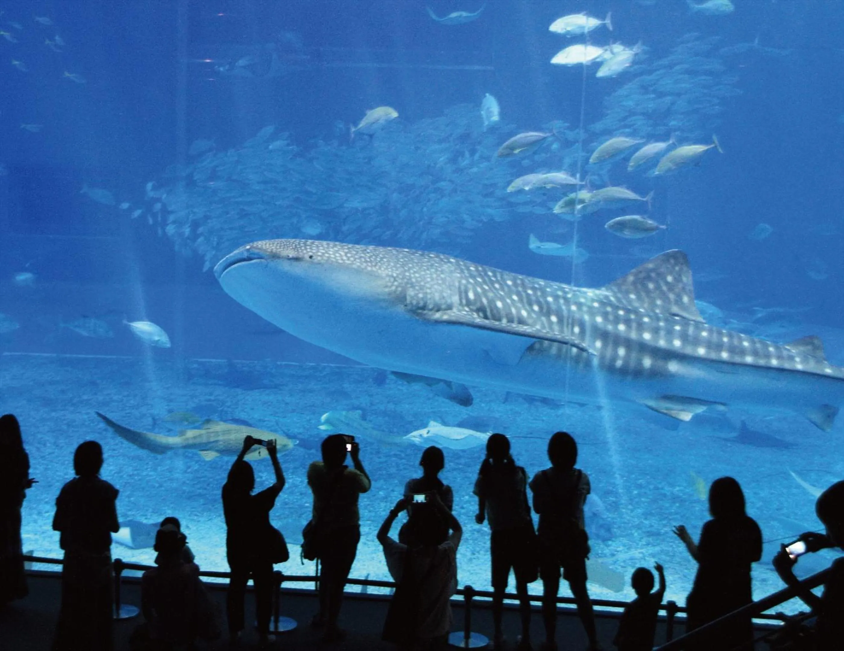 Off site in Zoe Resort The Sunset Village Okinawa Chatan