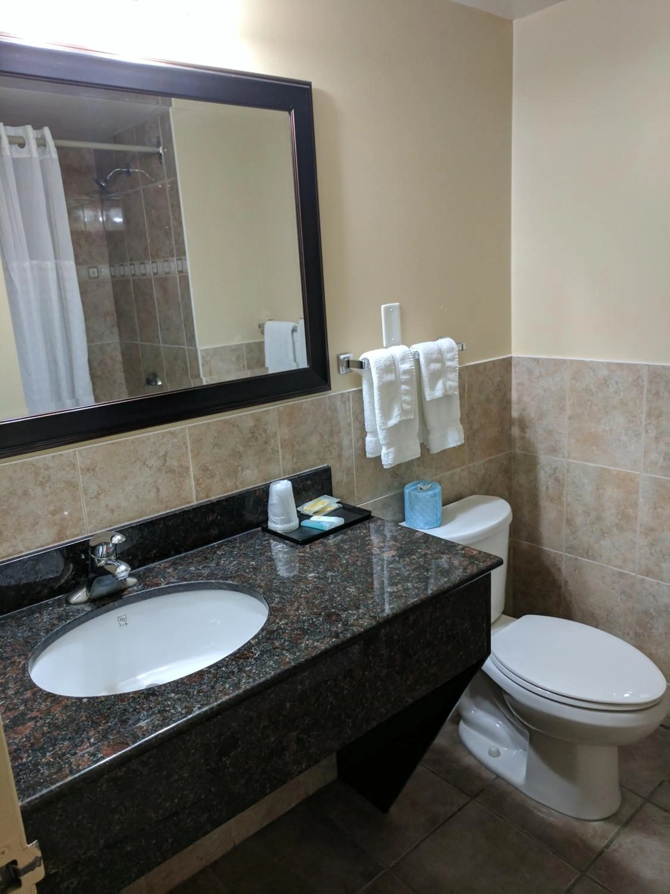 Toilet in Luxury Inn