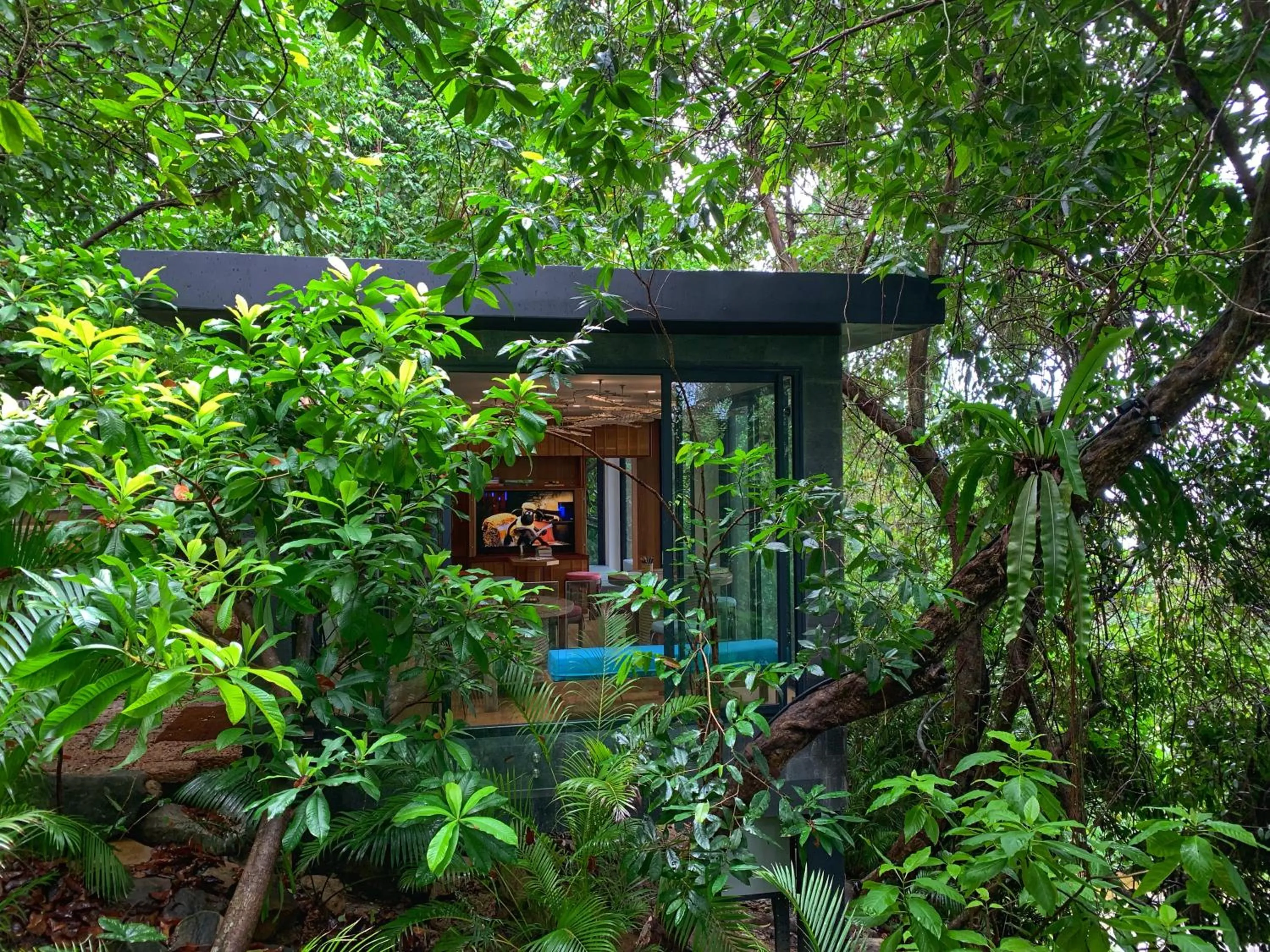 Kids's club in Six Senses Krabey Island