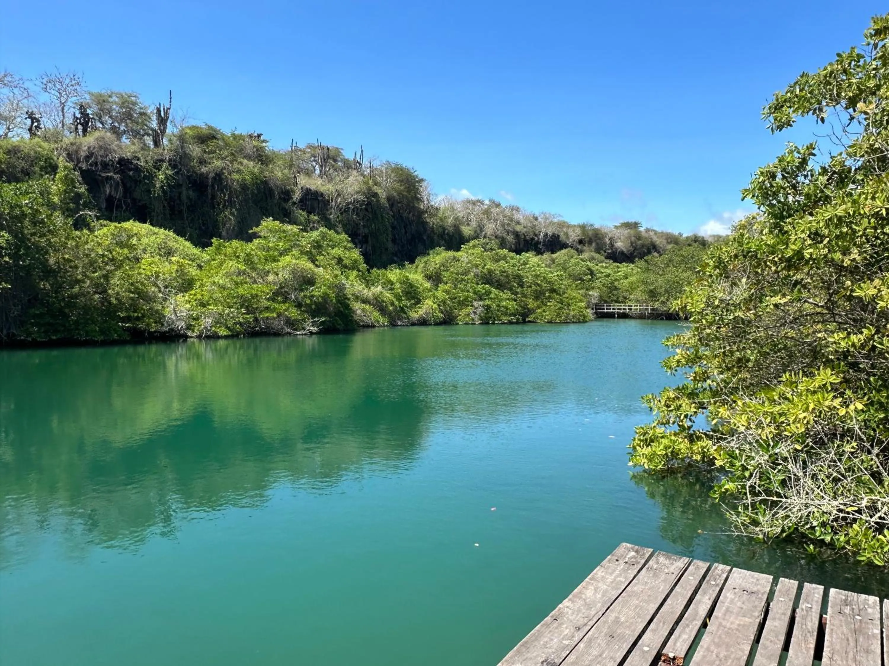 Lake view in Casa del Lago Lodging House