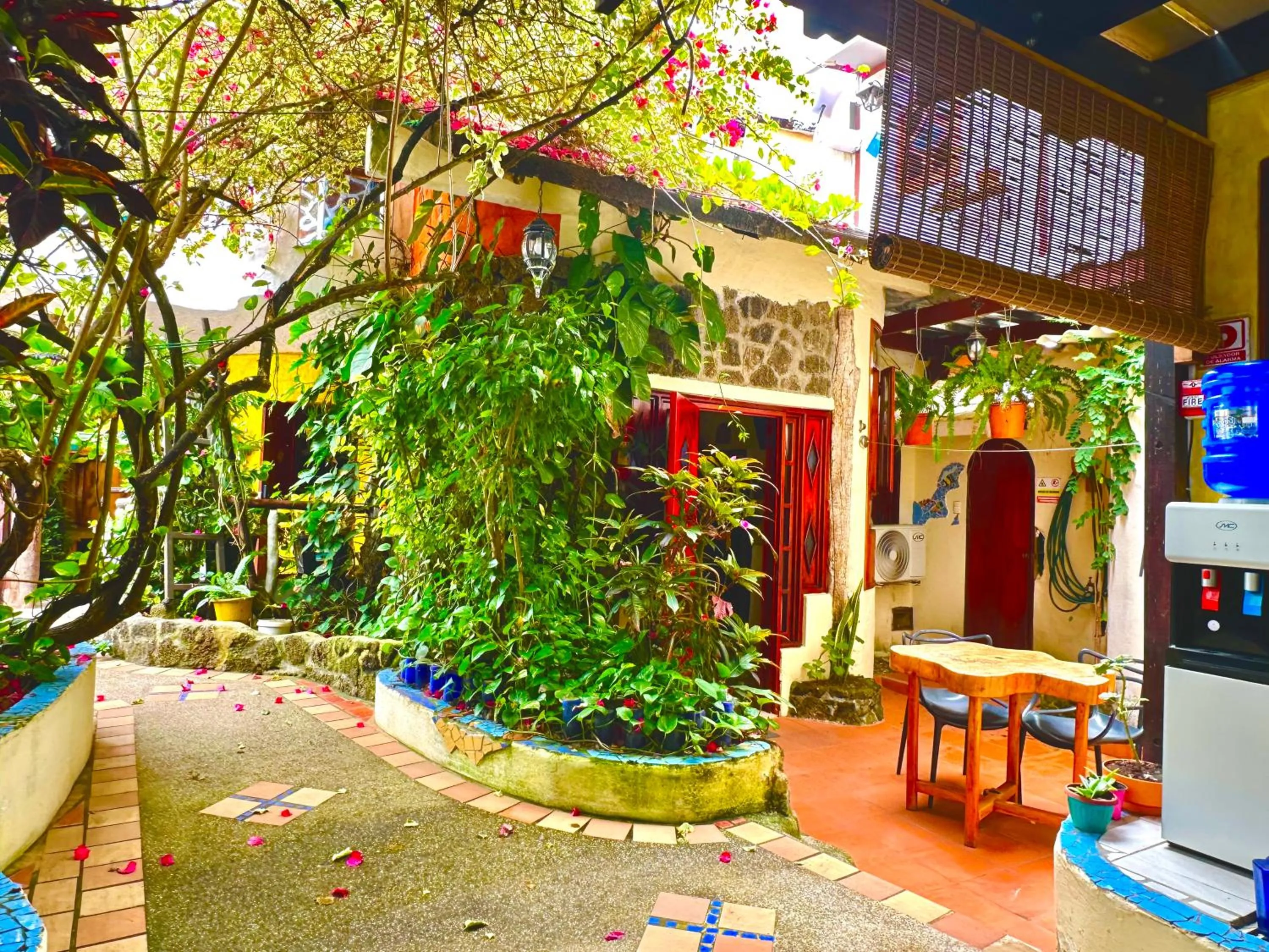 Garden view in Casa del Lago Lodging House