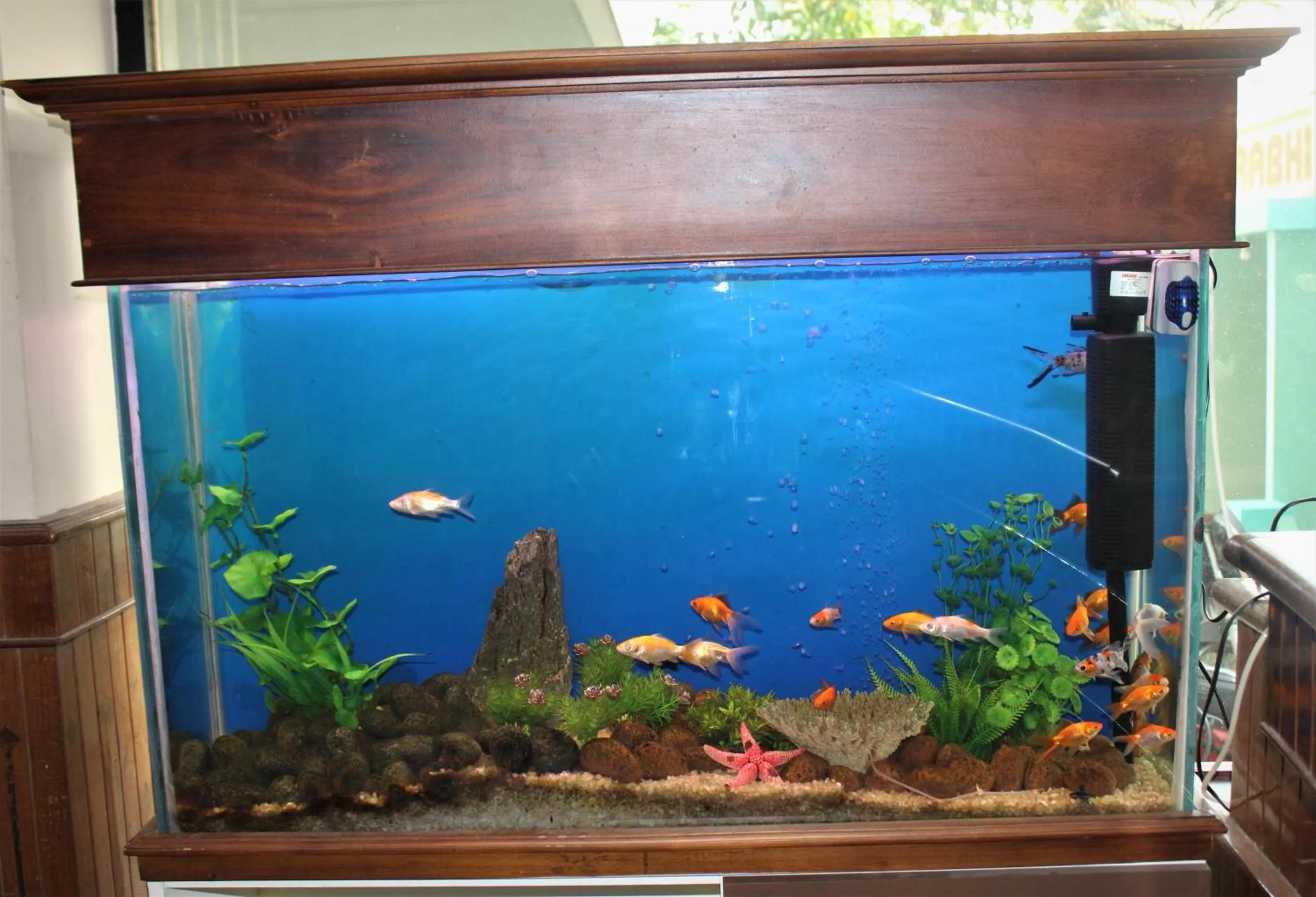 Fishing in Surabhi Suites