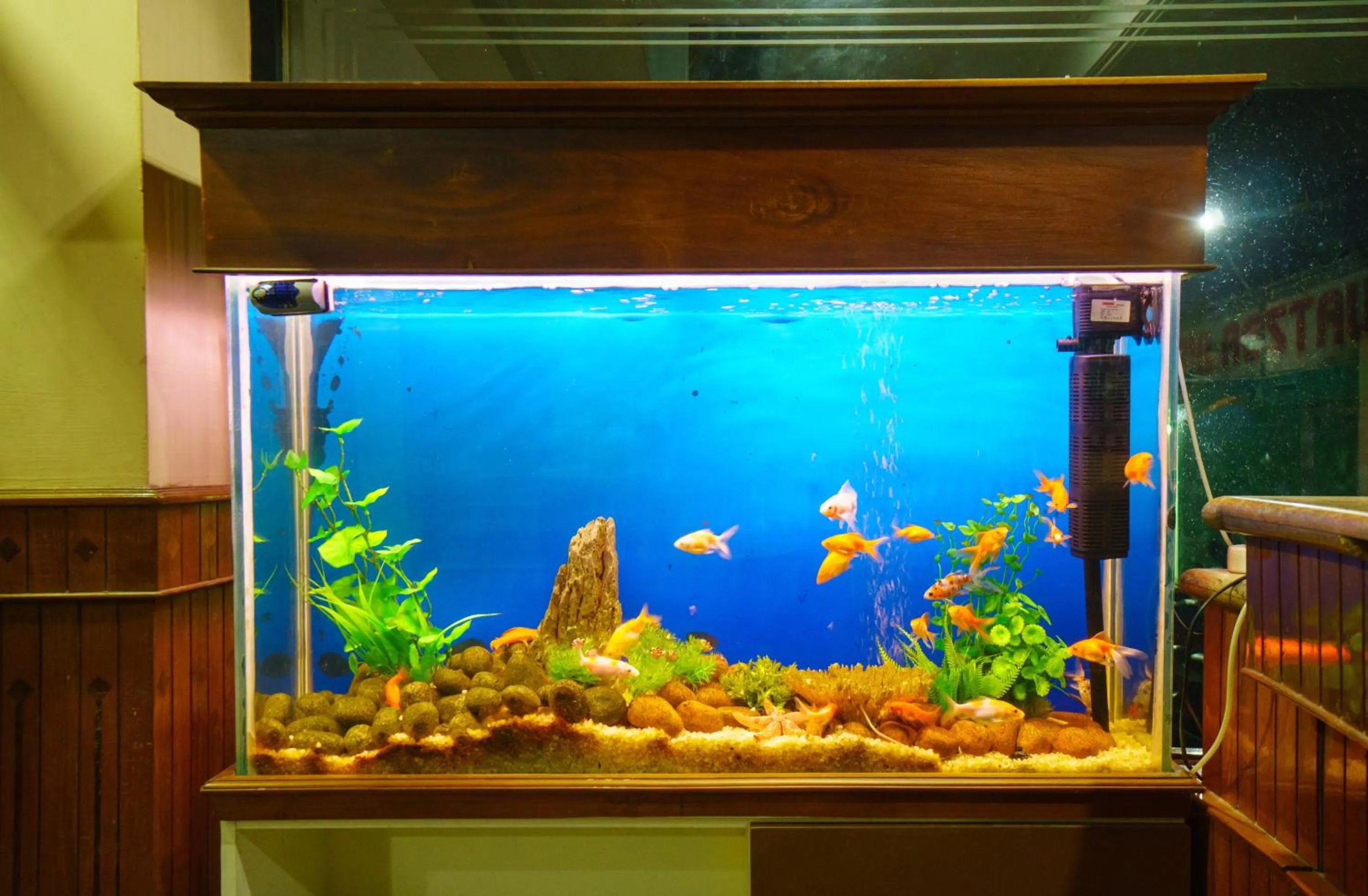 Activities in Surabhi Suites