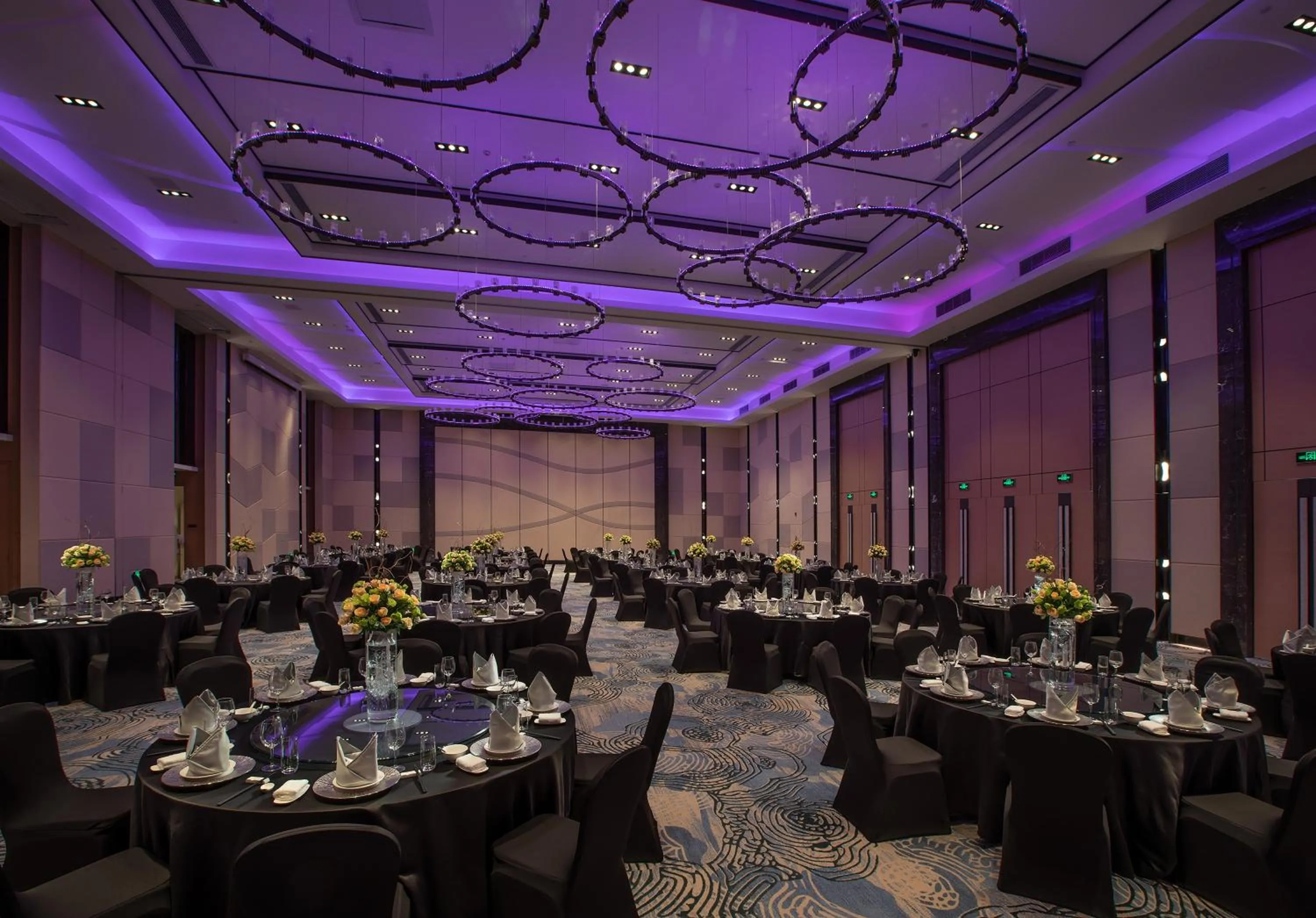 Banquet/Function facilities in Holiday Inn Tianjin Wuqing by IHG