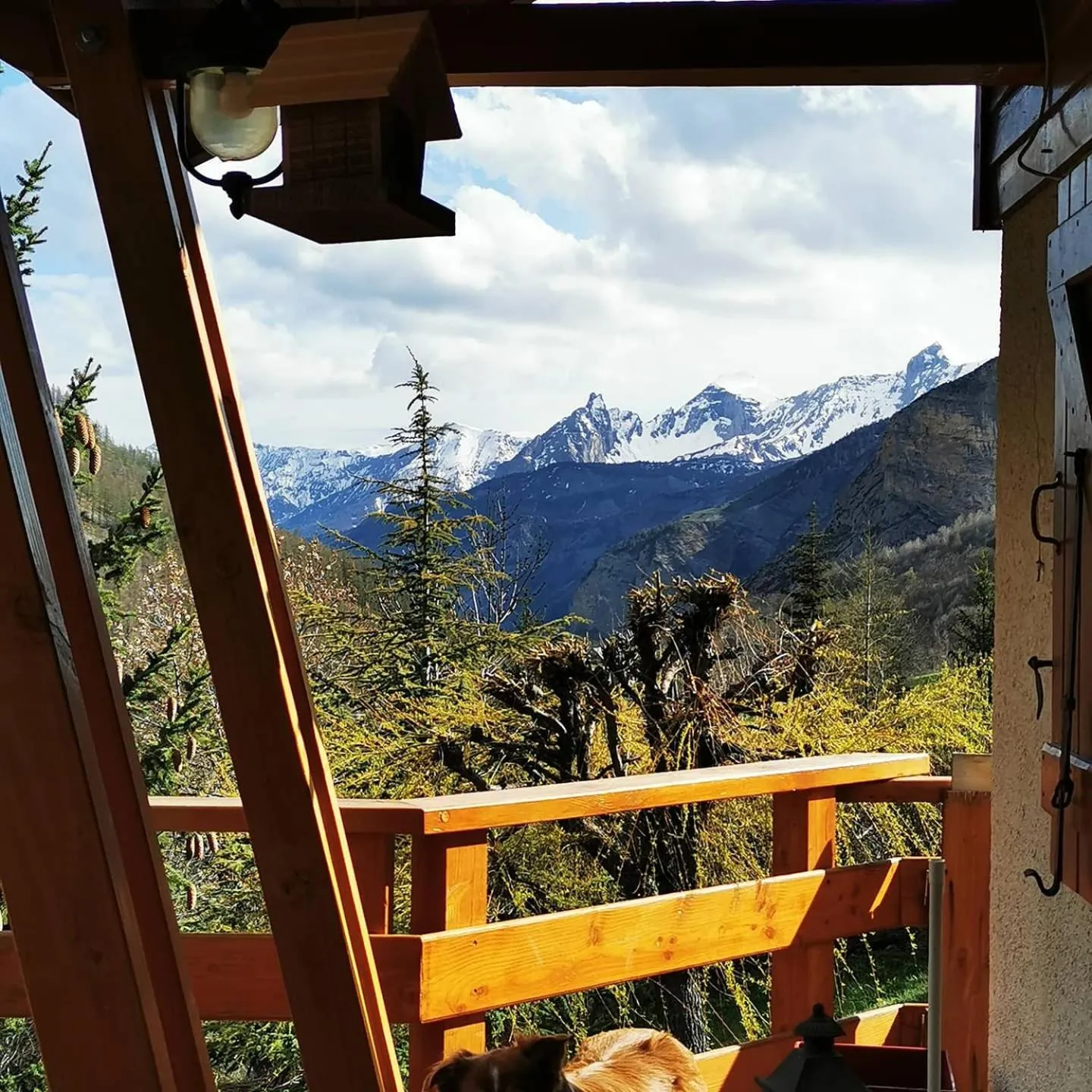 Les marmottes d Estenc