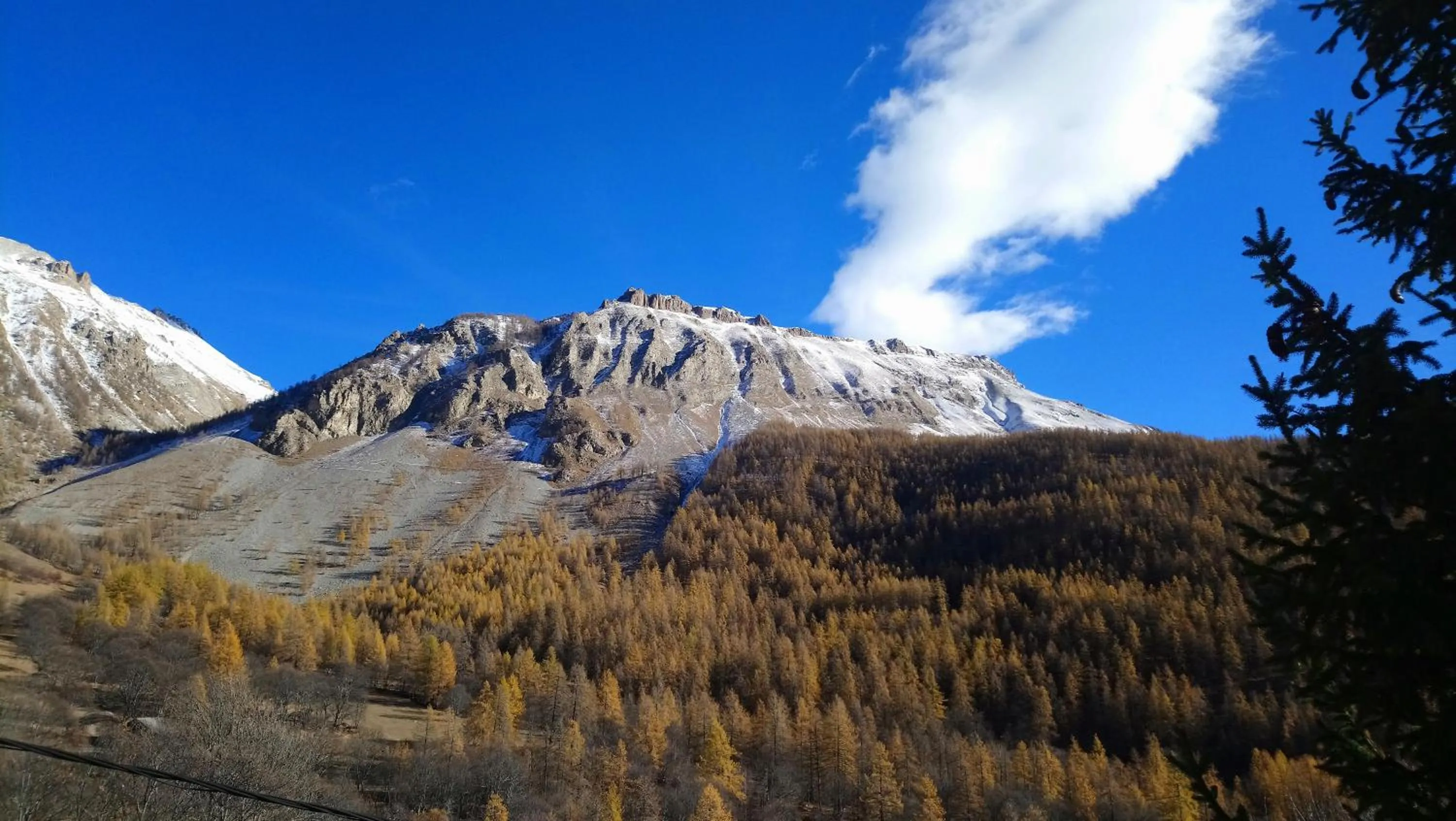 Les marmottes d Estenc